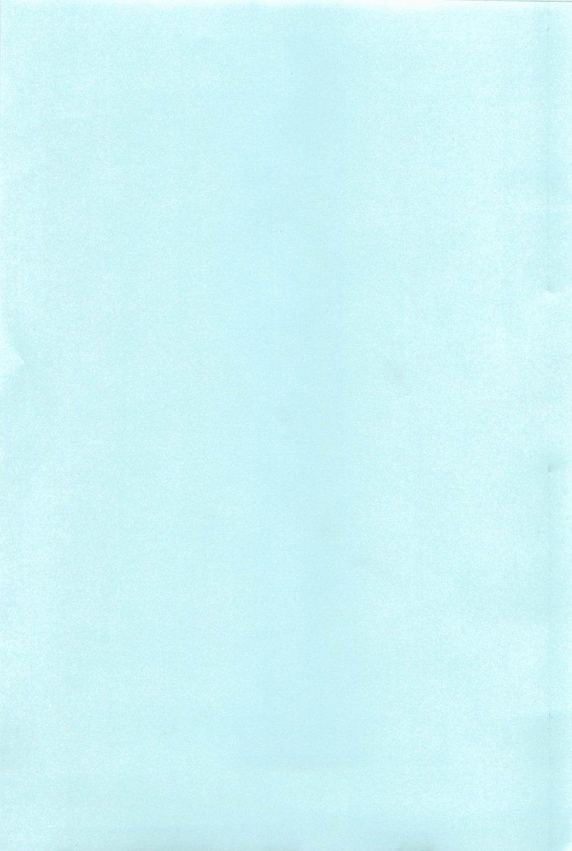 Hatsujou Message page 4 full