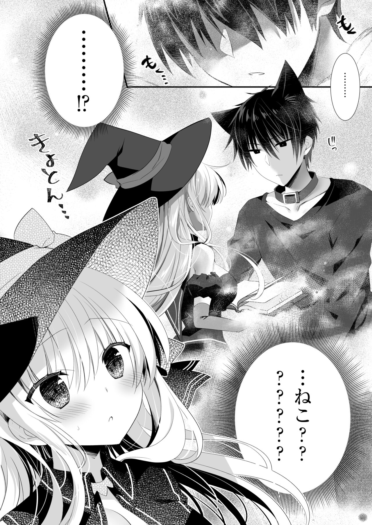 ポンコツ魔女とイジワルな猫。-召喚した使い魔が言うことを聞いてくれません！- page 5 full