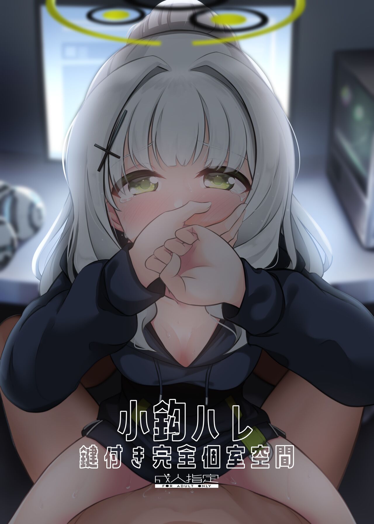 Omagari Hare Kagitsuki Kanzen Koshitsu Kuukan| 与小钩晴在被锁上的二人空间 page 2 full