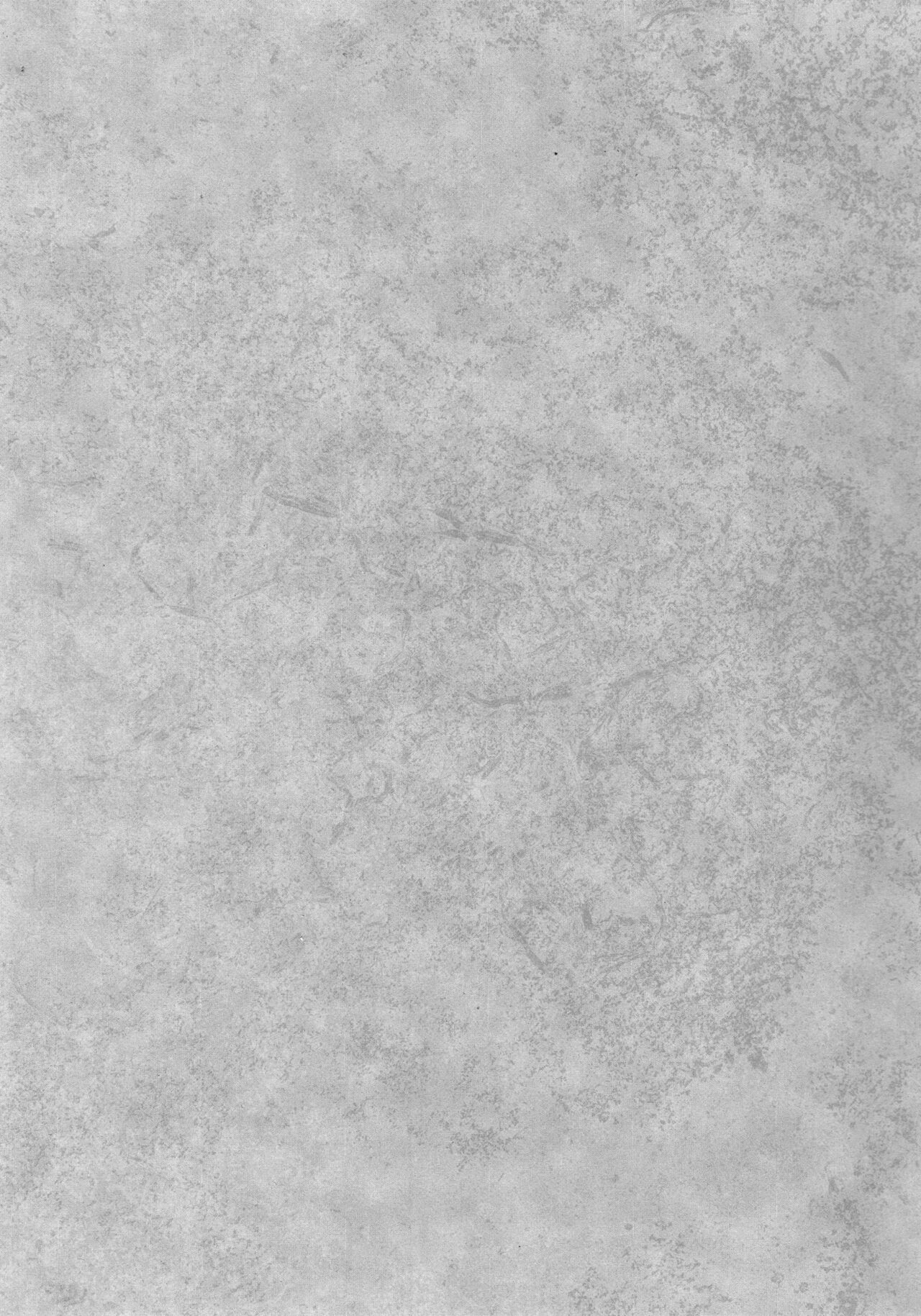 Little by Little page 2 full