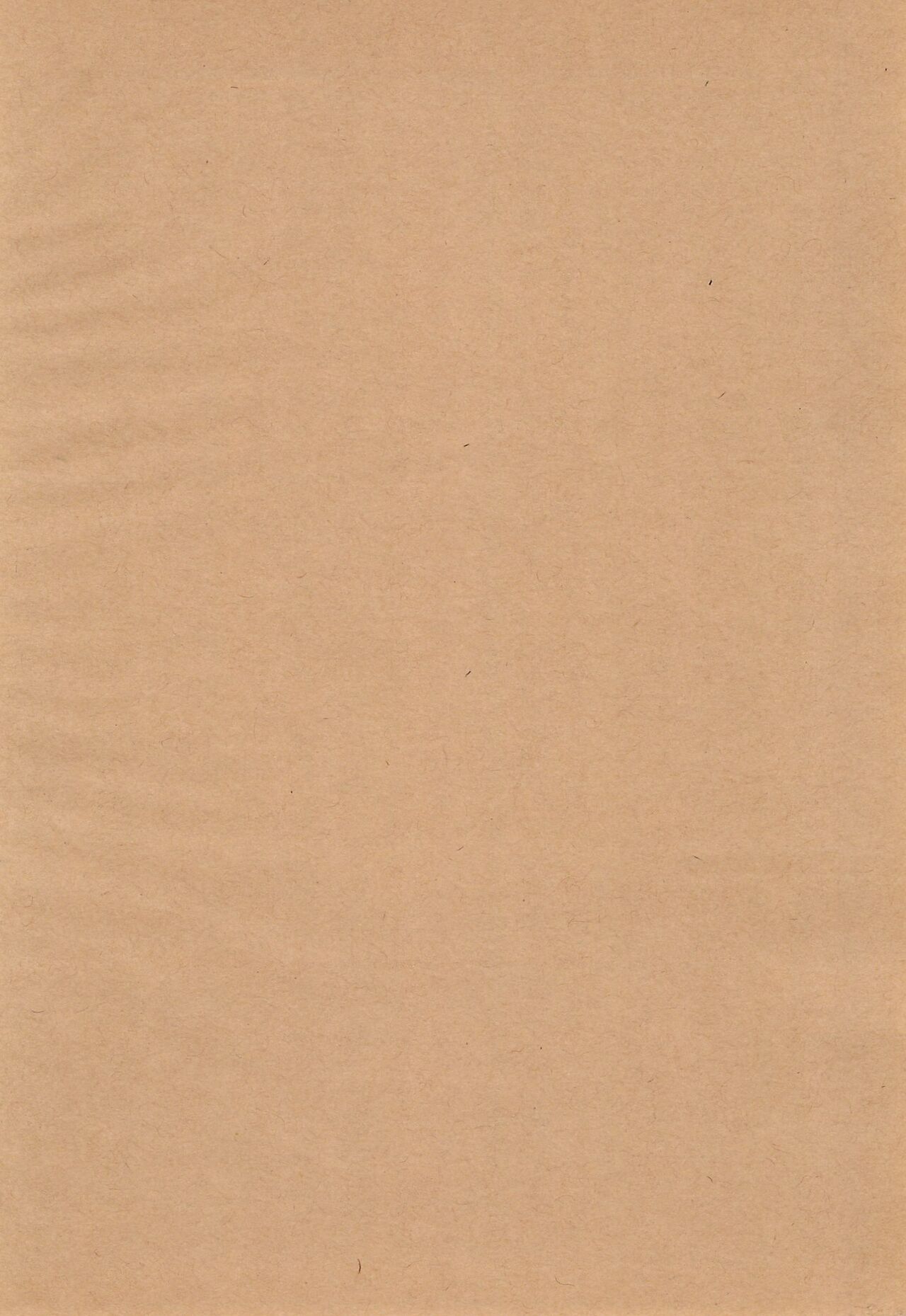 Obsesion y Monopolio page 4 full