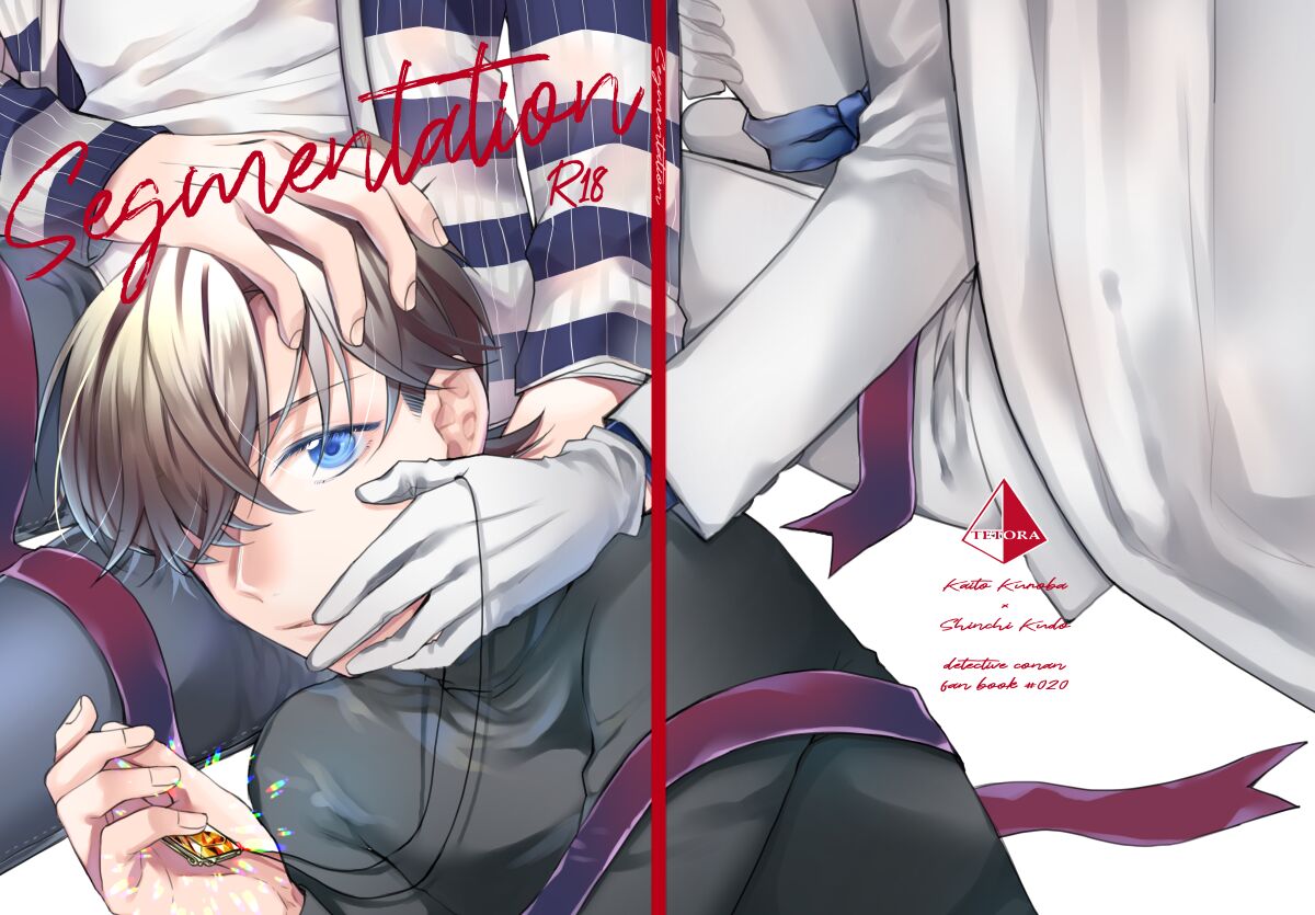 segmentation page 1 full