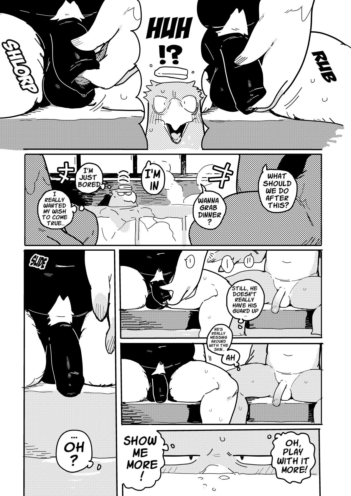 White-Tailed Eagle and Owls page 3 full