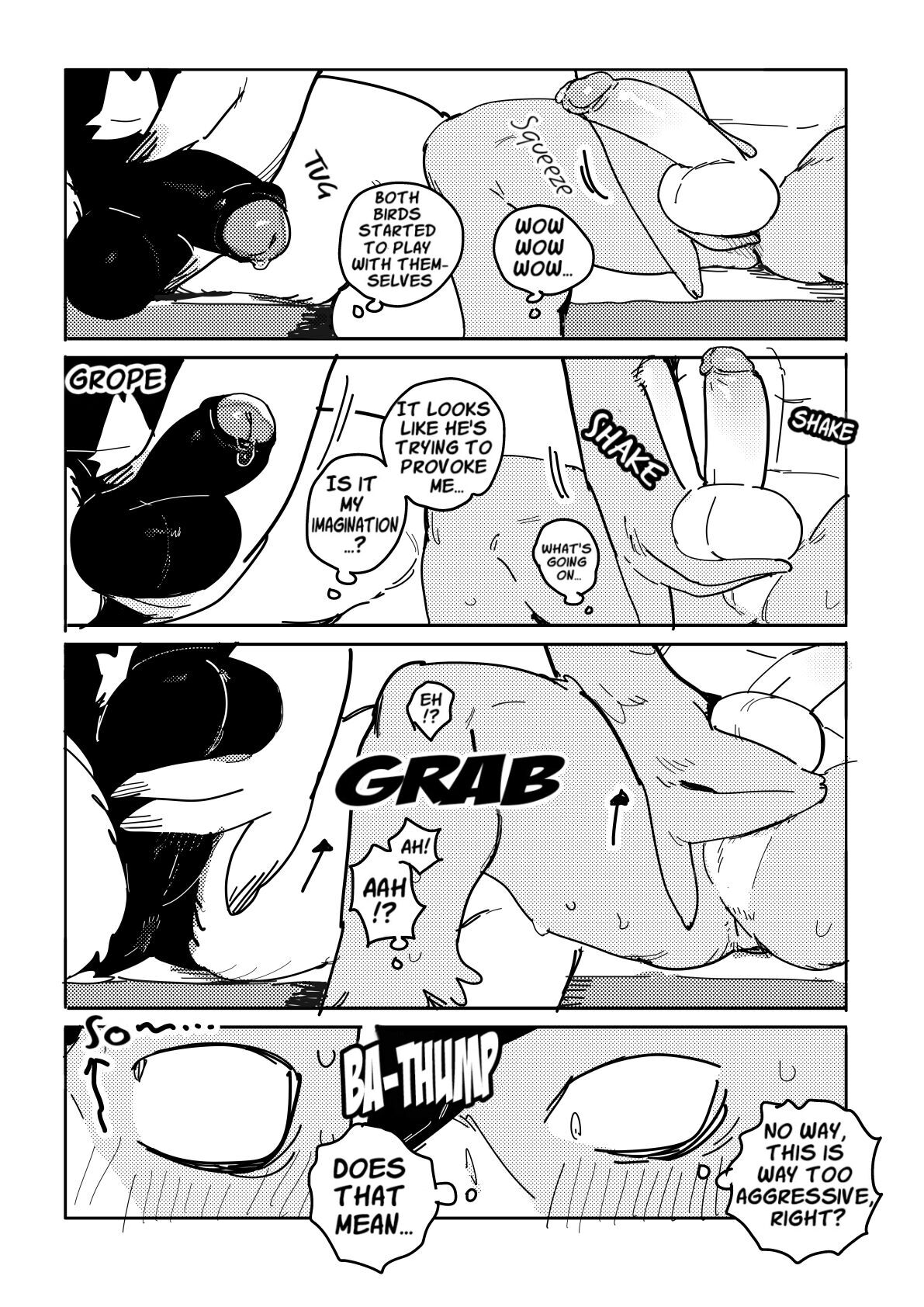 White-Tailed Eagle and Owls page 5 full