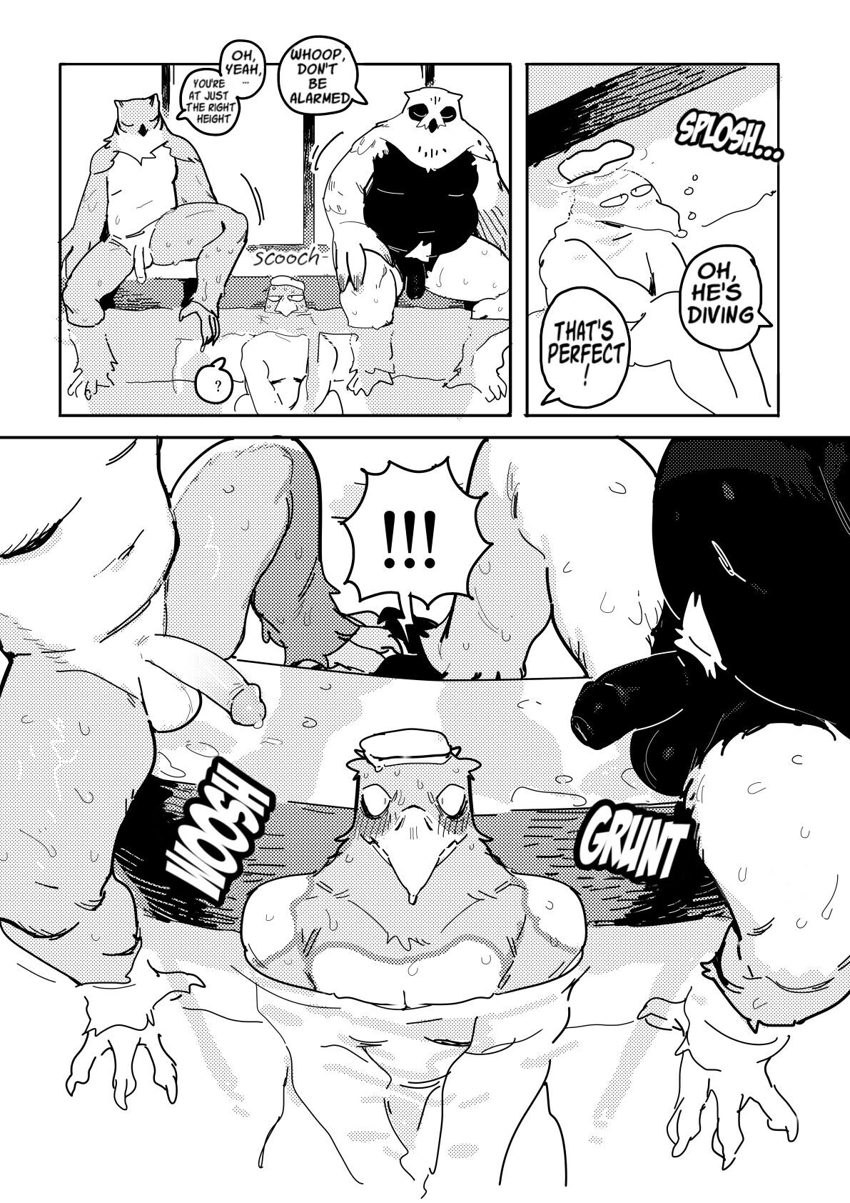 White-Tailed Eagle and Owls page 7 full