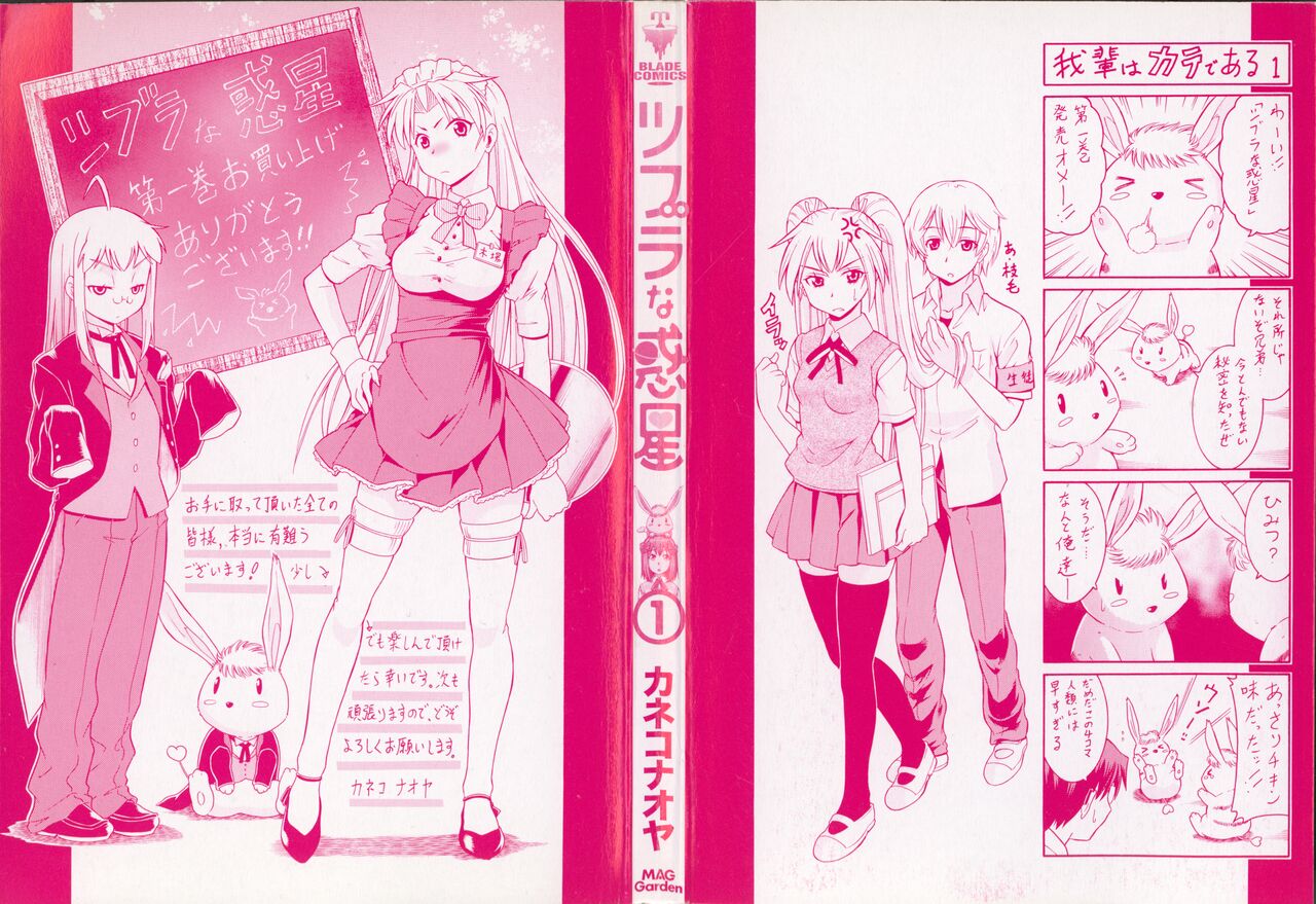 Tsubura na Wakusei Vol 1 page 2 full