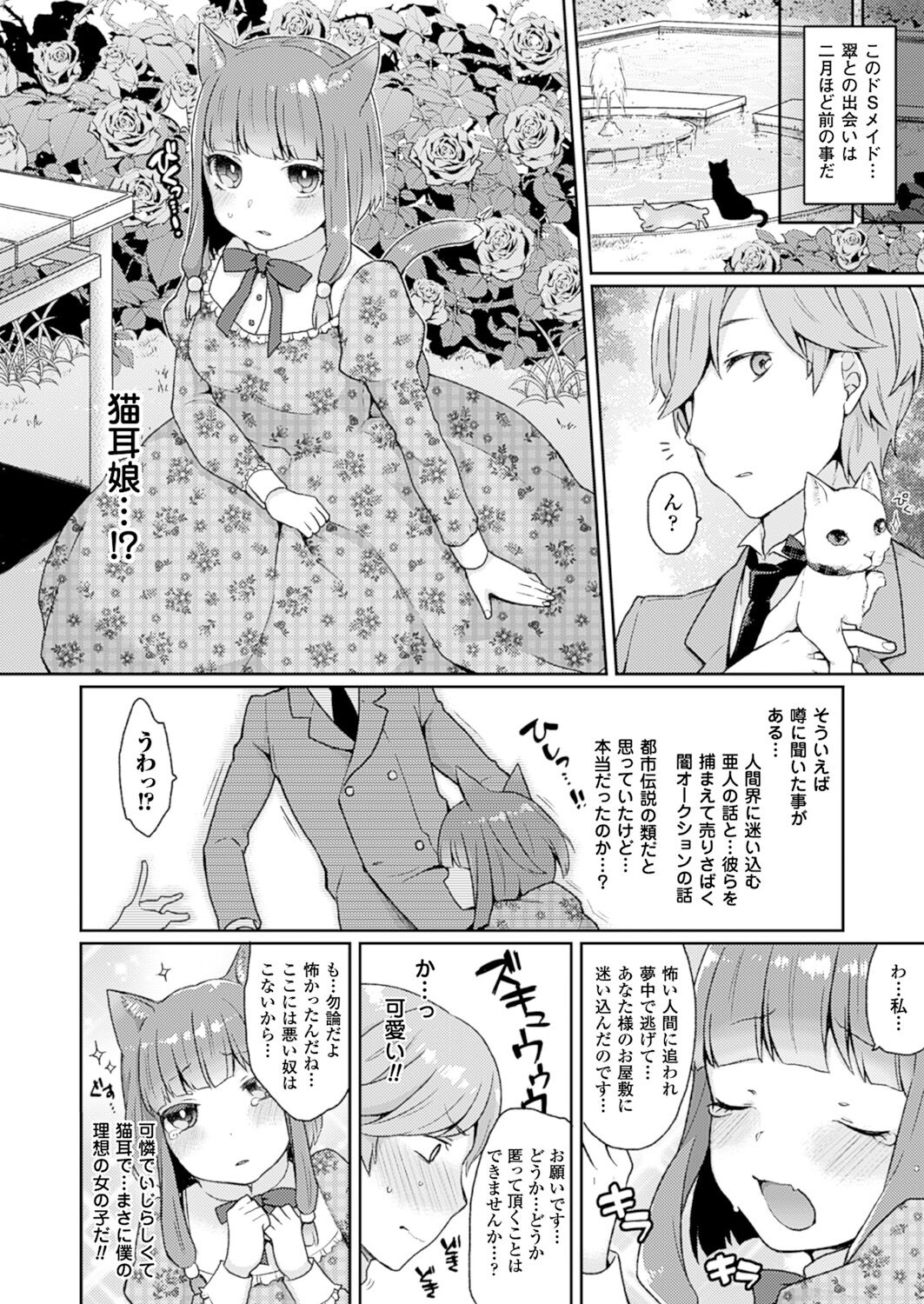 Iinari Servant page 2 full
