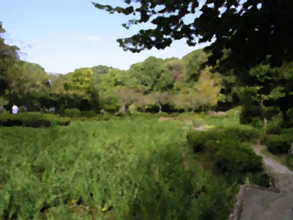 【莉莉卡】7古老的女神 page 5 full