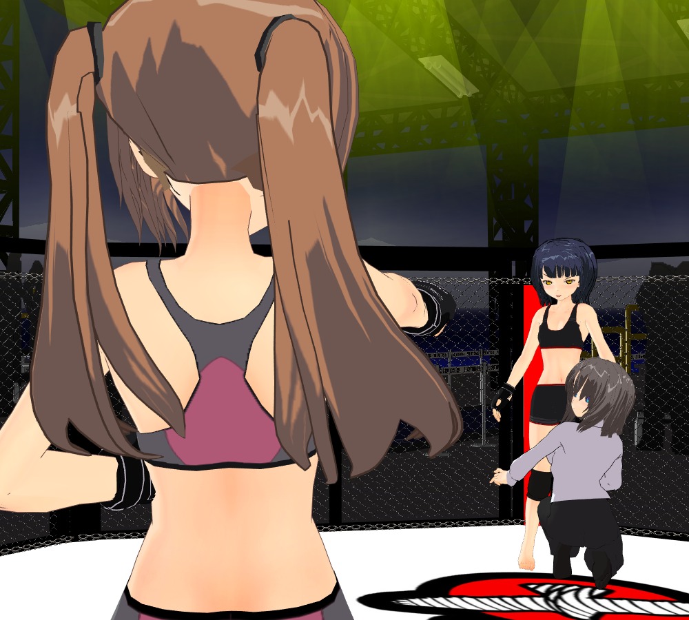 HEAT-WORLD MMA page 10 full