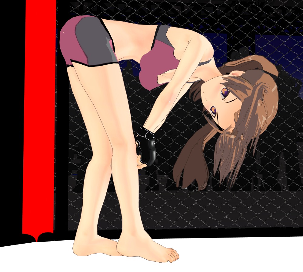 HEAT-WORLD MMA page 3 full