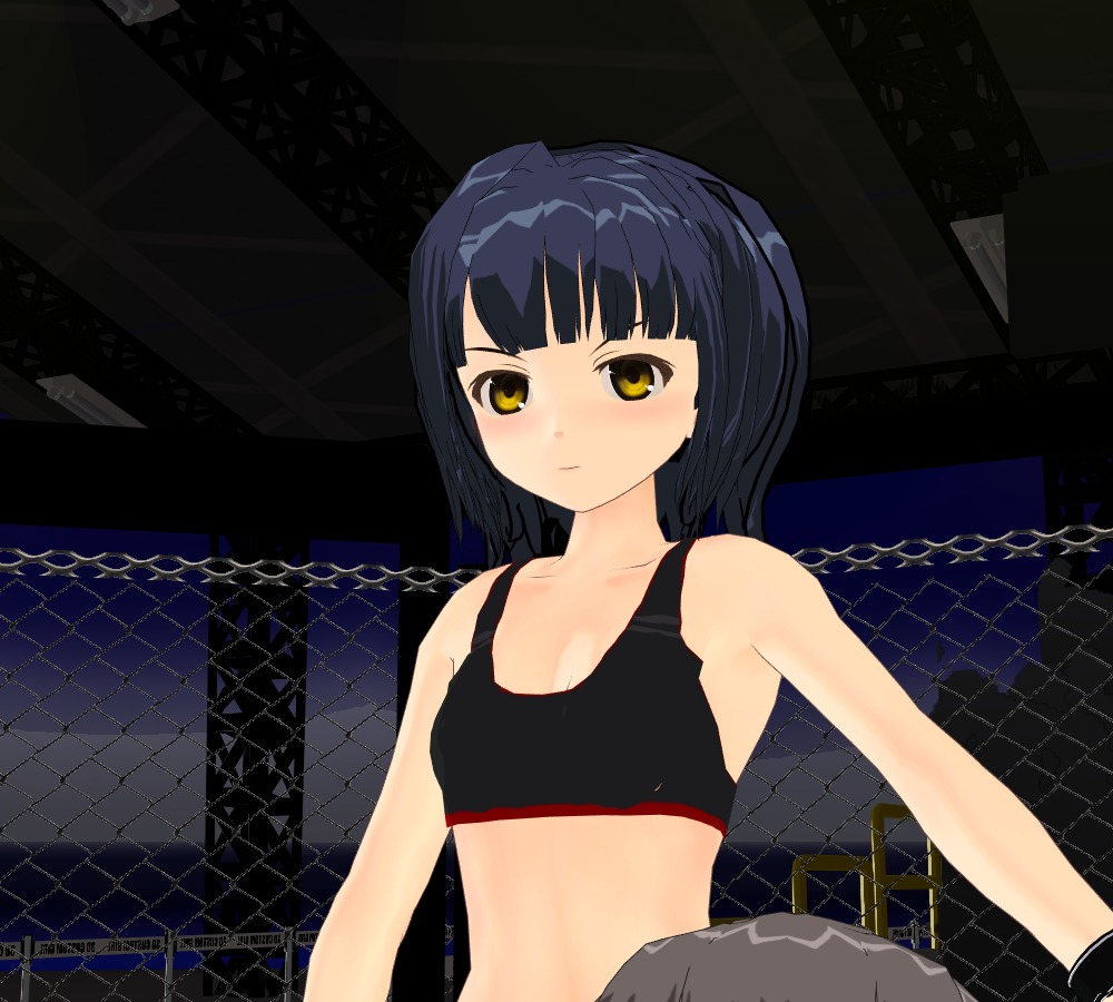 HEAT-WORLD MMA page 6 full