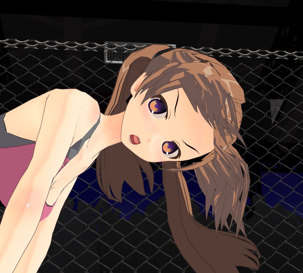 HEAT-WORLD MMA page 9 full