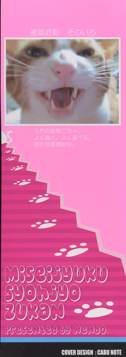 Miseijuku Shoujo Zukan page 3 full