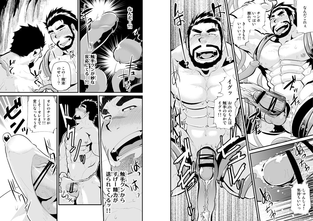 Gankutsu Shakushuki page 9 full