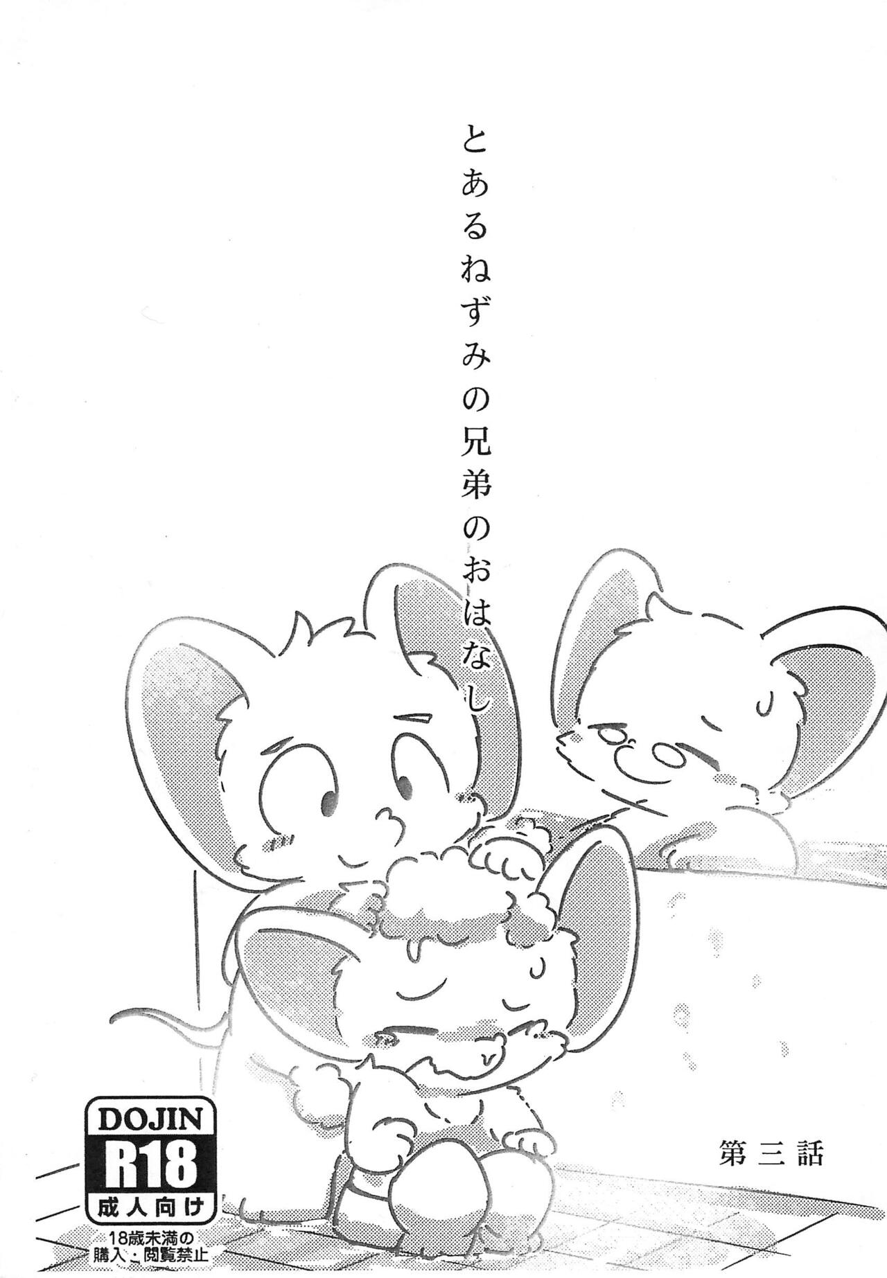 Toaru Nezumi no Kyoudai no Ohanashi Daisan-wa page 1 full