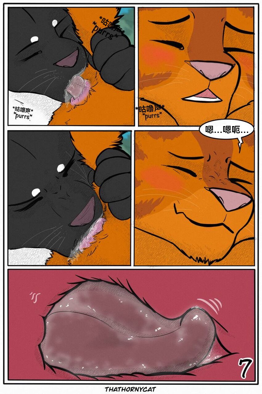 【Warriorcats】 Talltail x Jack Artist:thathornycat 个人汉化 高尾x杰克 page 10 full