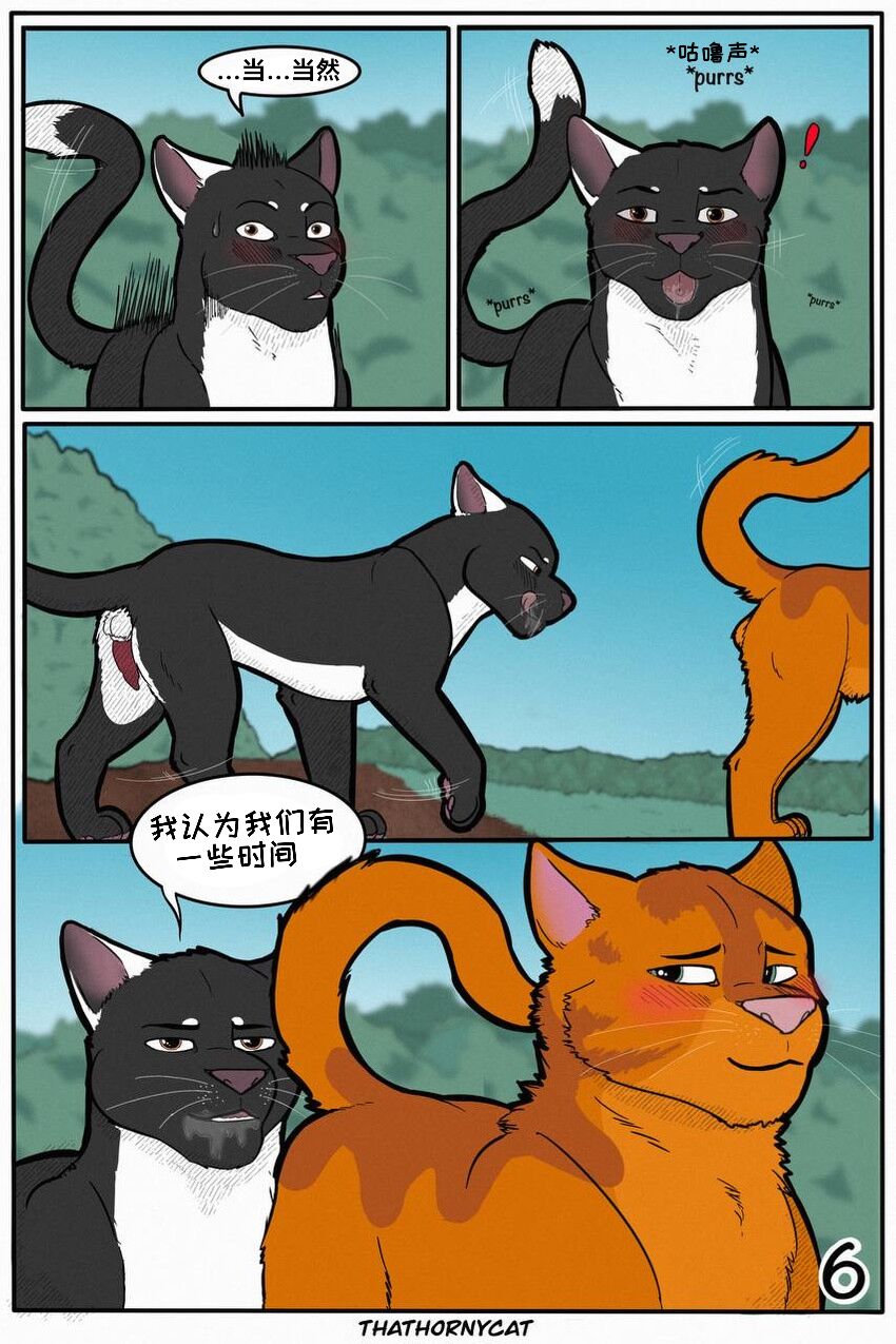 【Warriorcats】 Talltail x Jack Artist:thathornycat 个人汉化 高尾x杰克 page 9 full