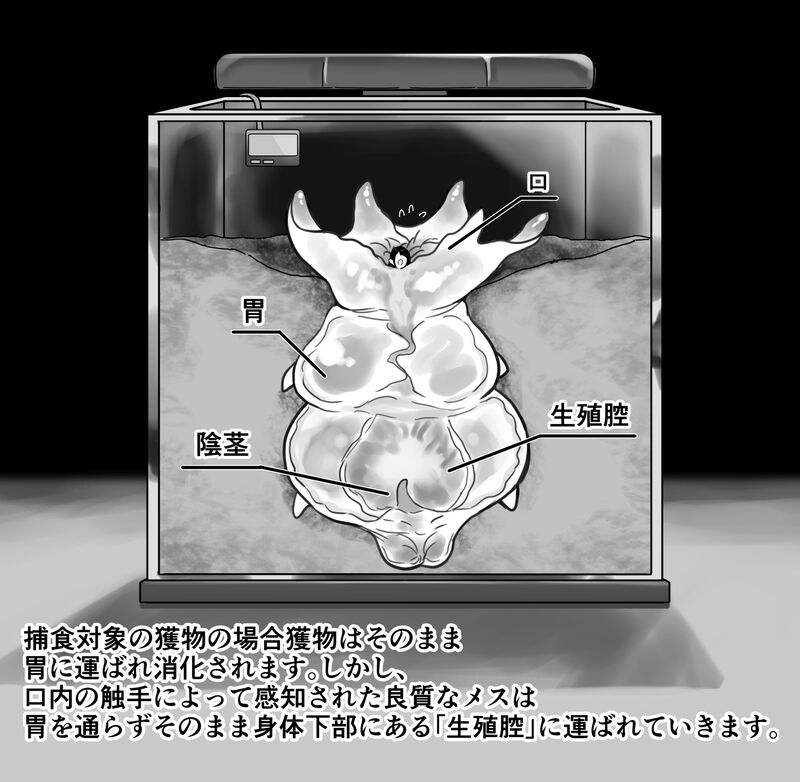 【衝撃】触手生物の巣穴にメスを入れてみた結果がヤバすぎた… page 6 full