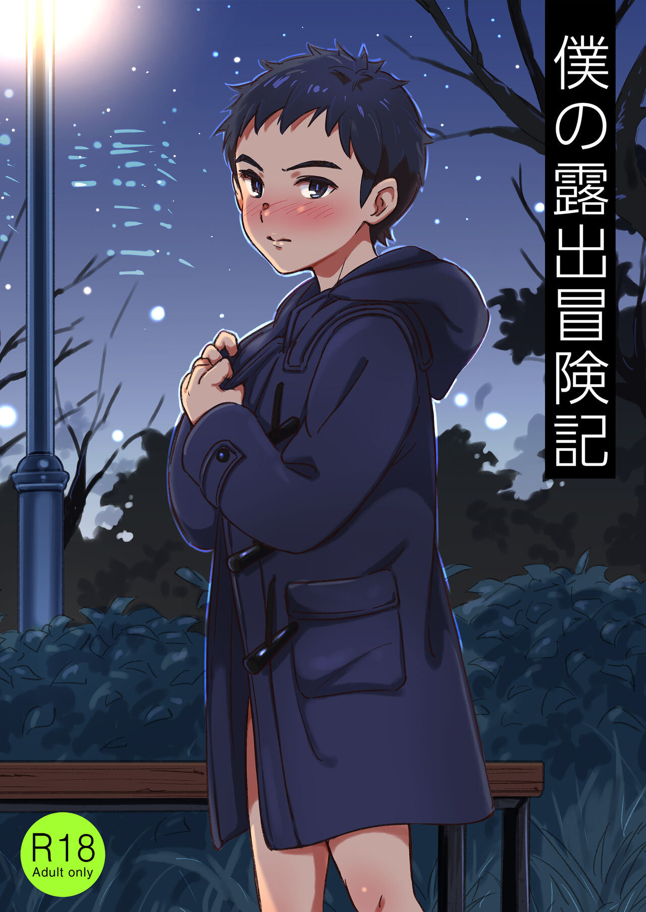 僕の露出冒険記 page 1 full