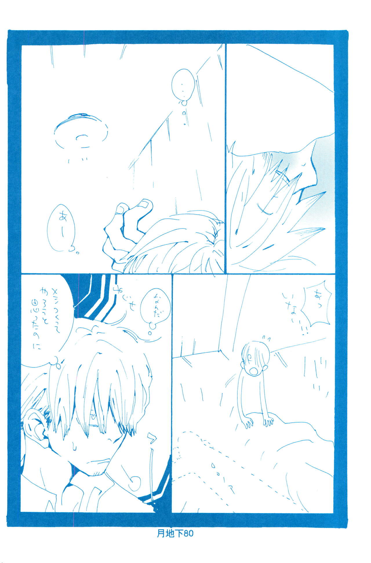 バラの花 page 8 full