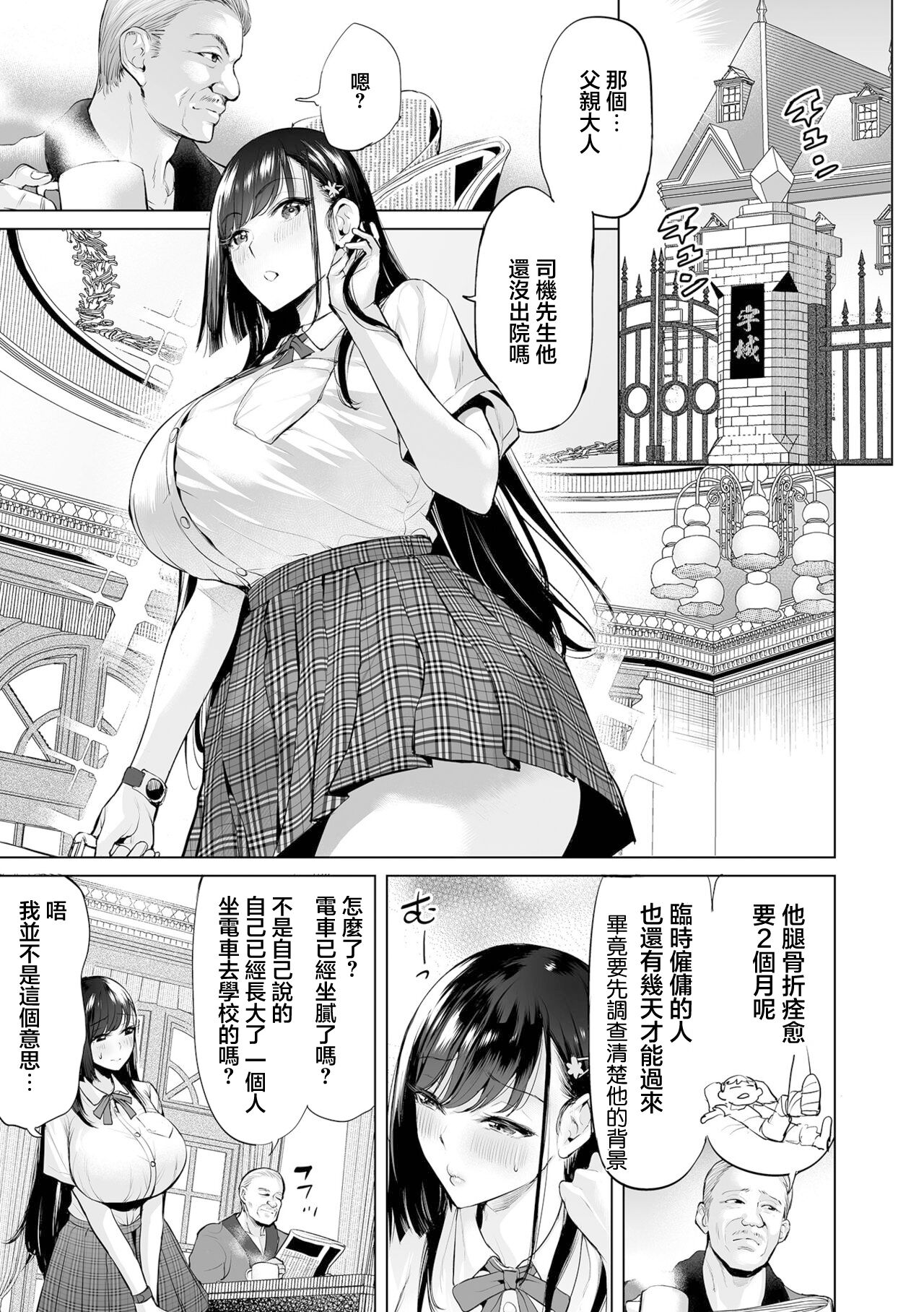 Ojou-sama Chikan Train | 大小姐的癡漢列車 page 9 full