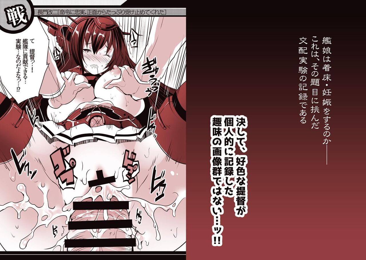 ロジウラ鎮守府の中出しこれくしょん~艦娘交配実験記録~ page 2 full