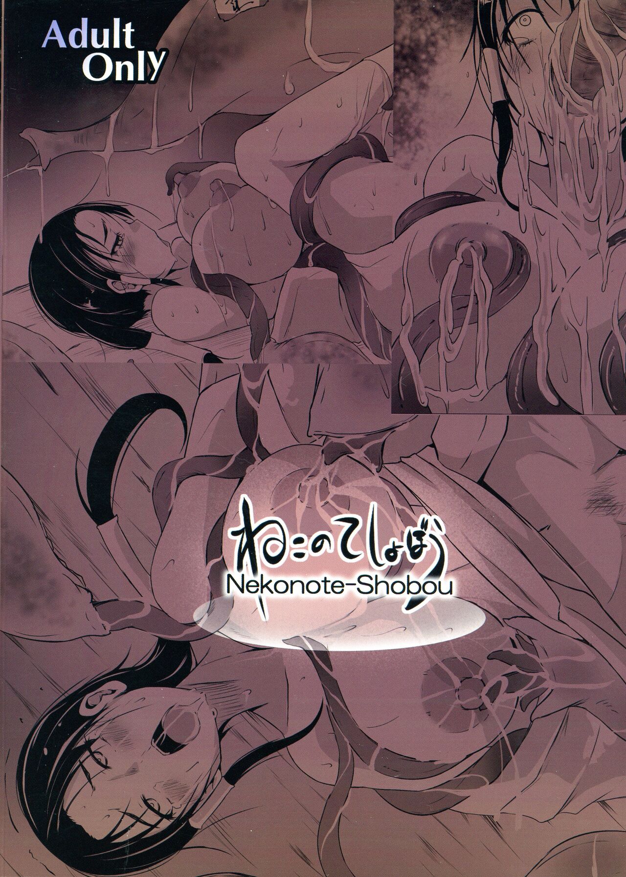 Chuushin-sama no Yome page 2 full