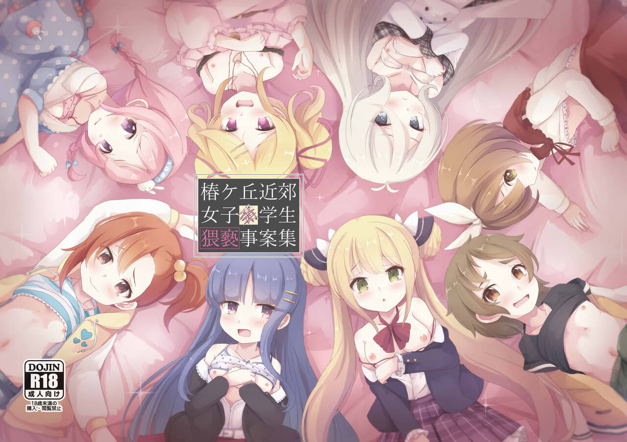 Tsubakigaoka Kinkou Joshi Shougakusei Waisetsu Jianshuu  【Polaris个人汉化】 page 2 full