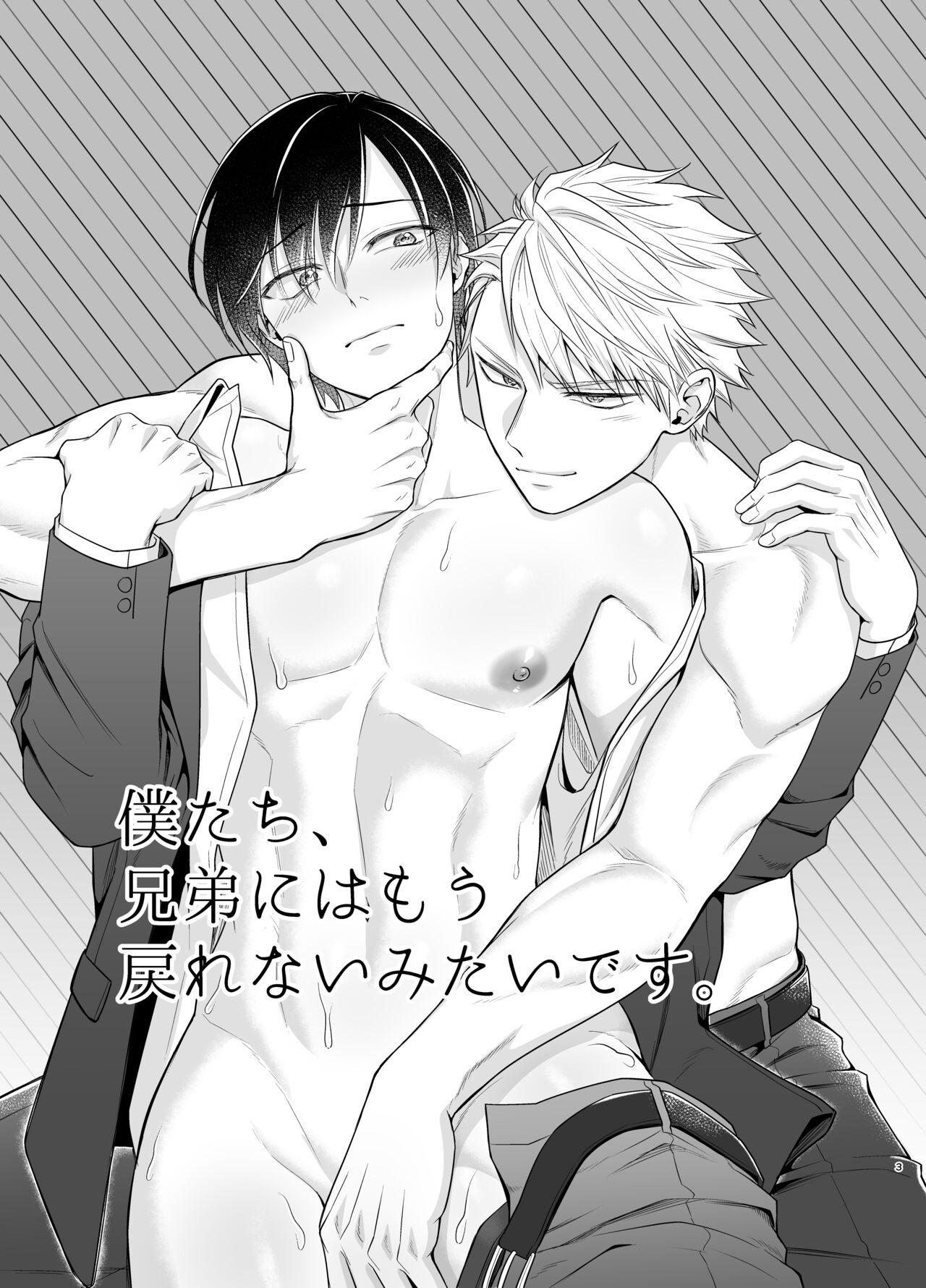 Bokutachi, Kyoudai ni wa Mou Modorenai Mitai desu. page 3 full