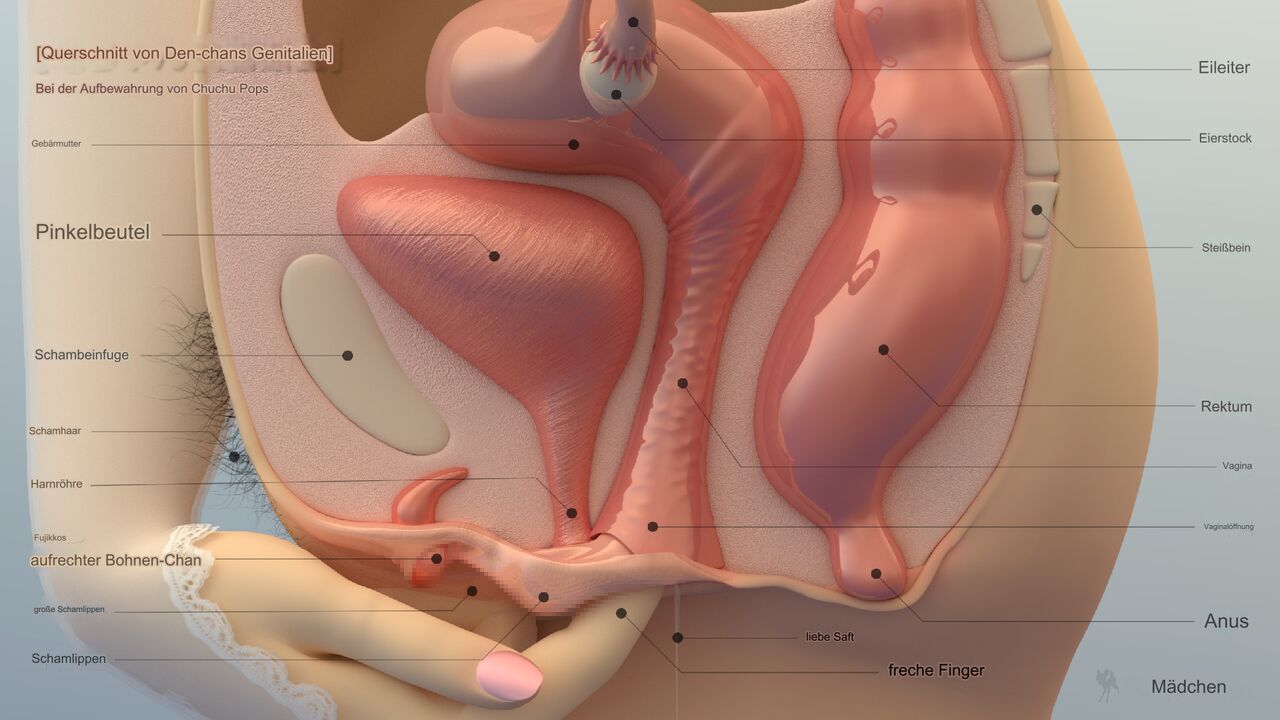 Bambina Fanbox  übersetzt 300 jen plahn page 2 full
