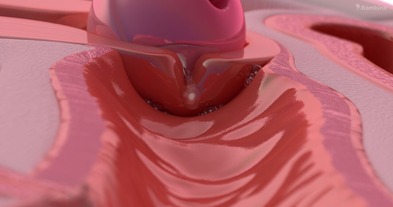 Bambina Fanbox  übersetzt 300 jen plahn page 6 full