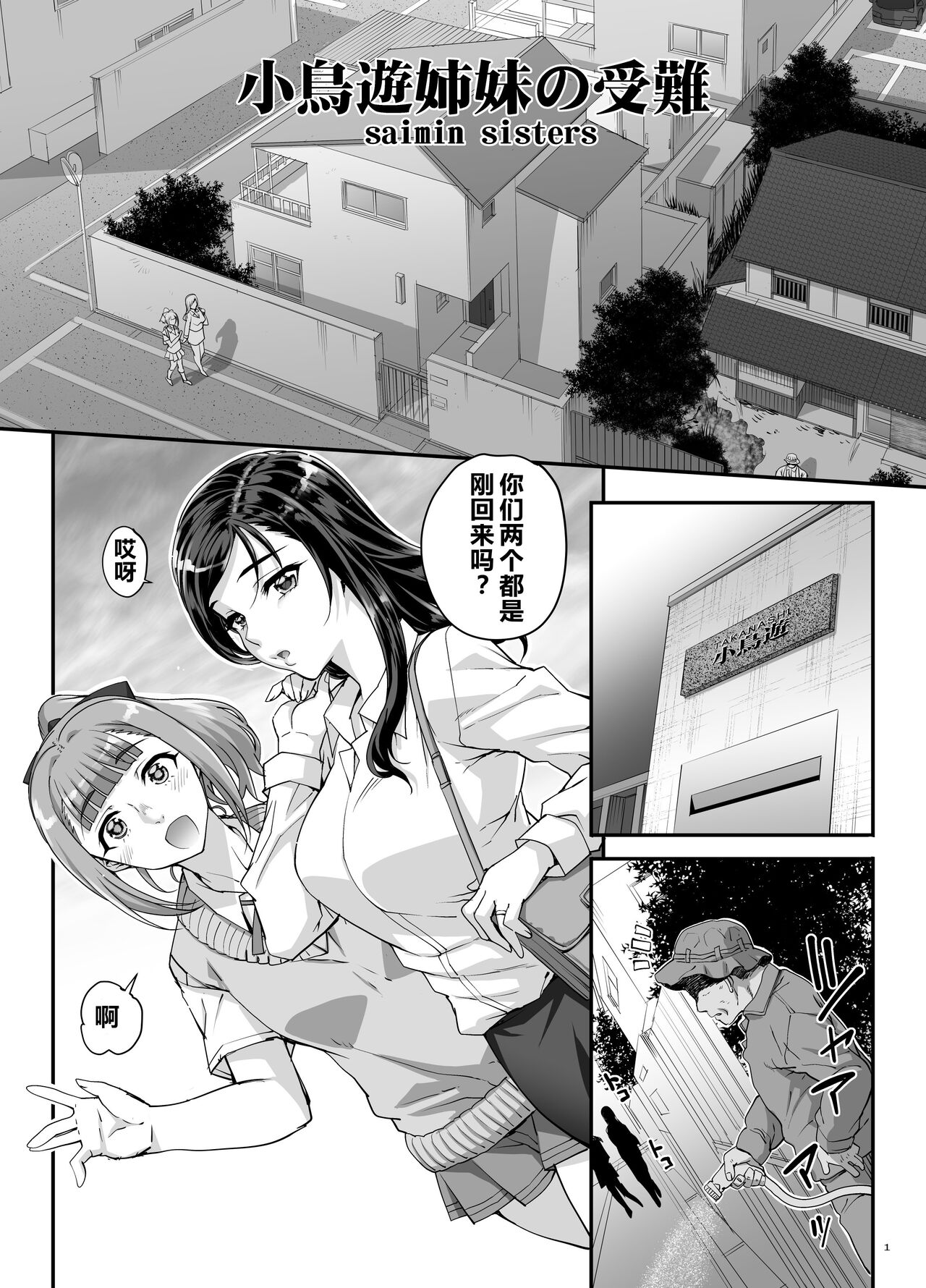 Takanashi Shimai no Junan - saimin sisters  | 小鸟游姐妹的受难 page 2 full