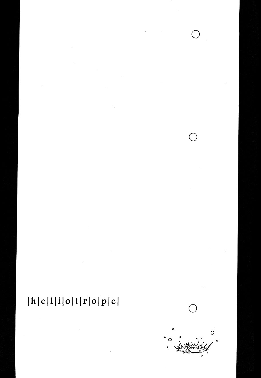 Heliotrope |日光菊 page 8 full