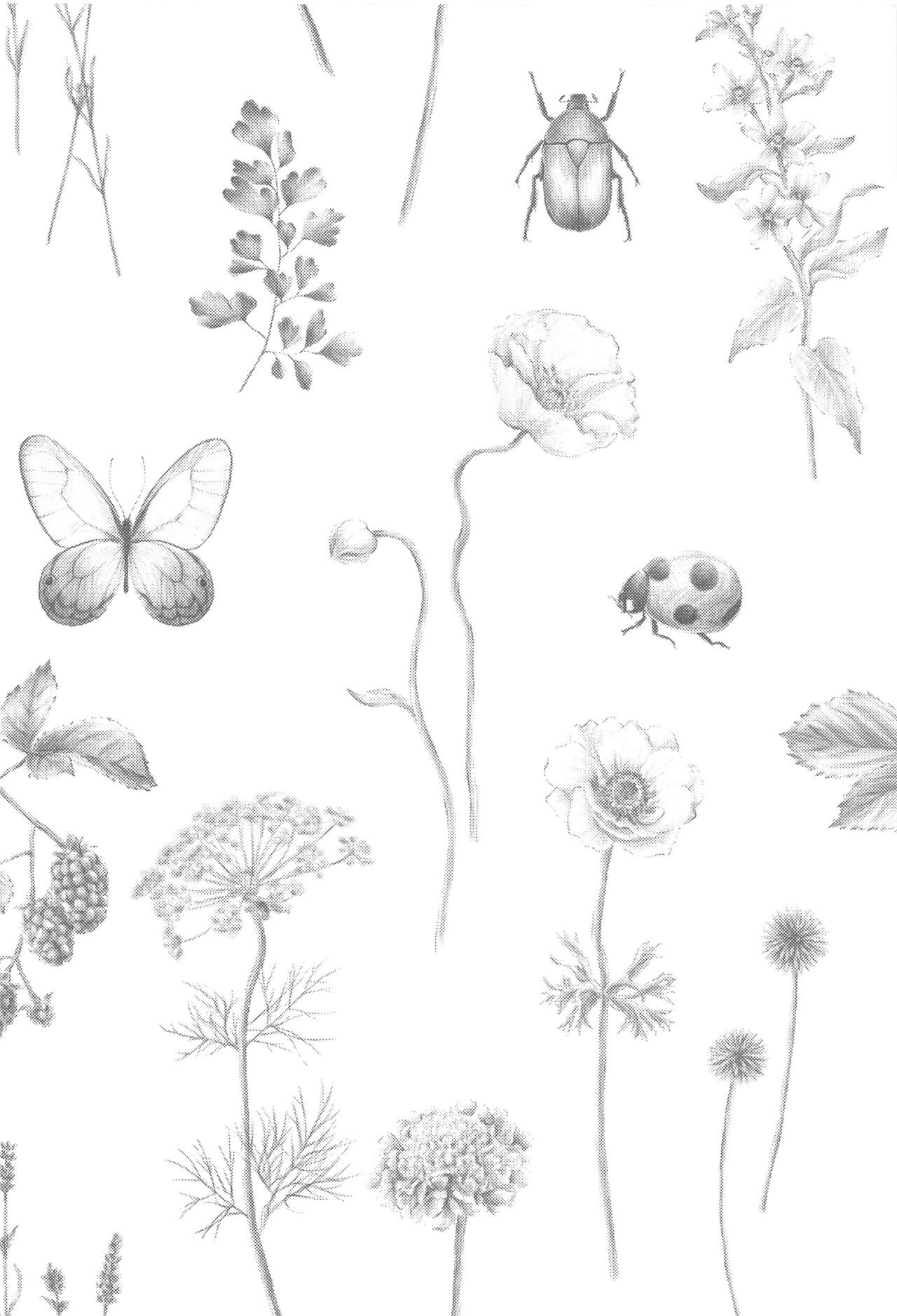 dokuokurawabasaramade。 page 3 full