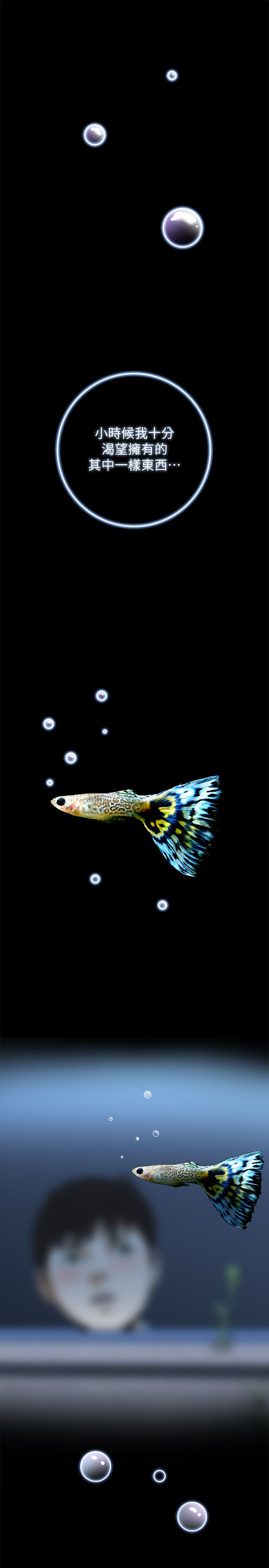 ［韩漫］偷窥 1-50 page 2 full