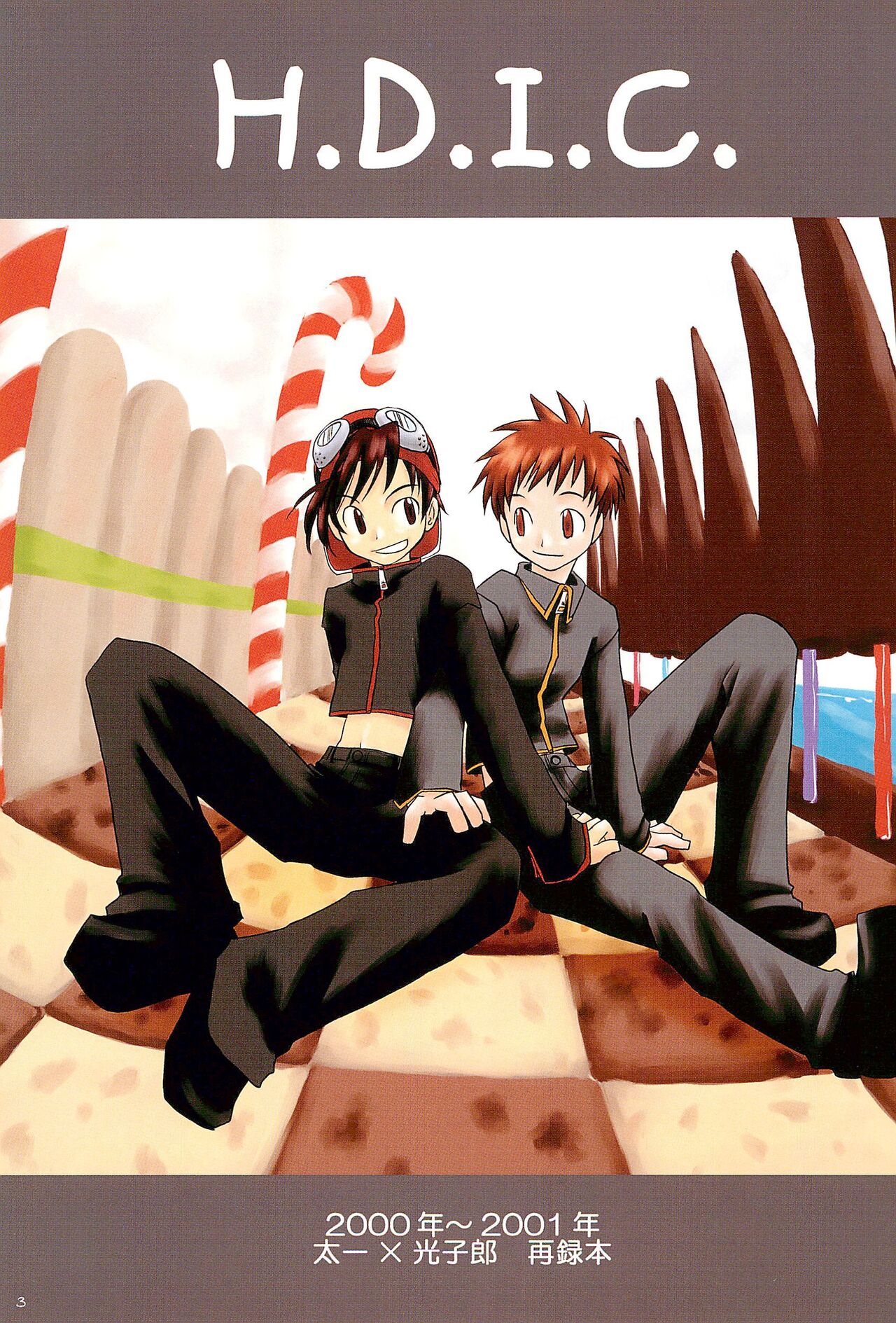 H.D.I.C. page 5 full