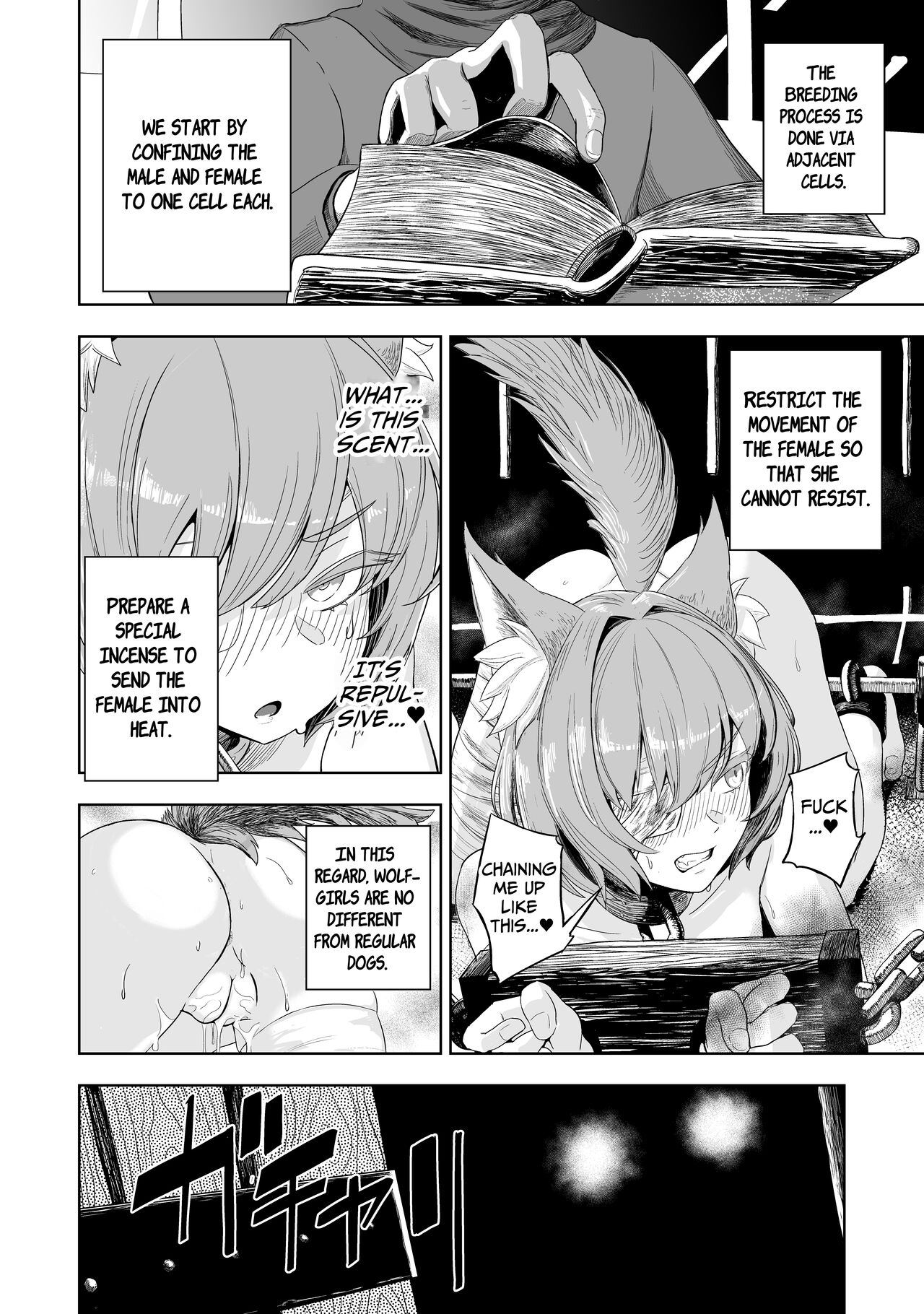 Junai Hanshoku Bou -Ookami Shoujo no Shitsukekata- | Pure Love Breeding Cell: ~How to train a Wolf-girl~ page 5 full
