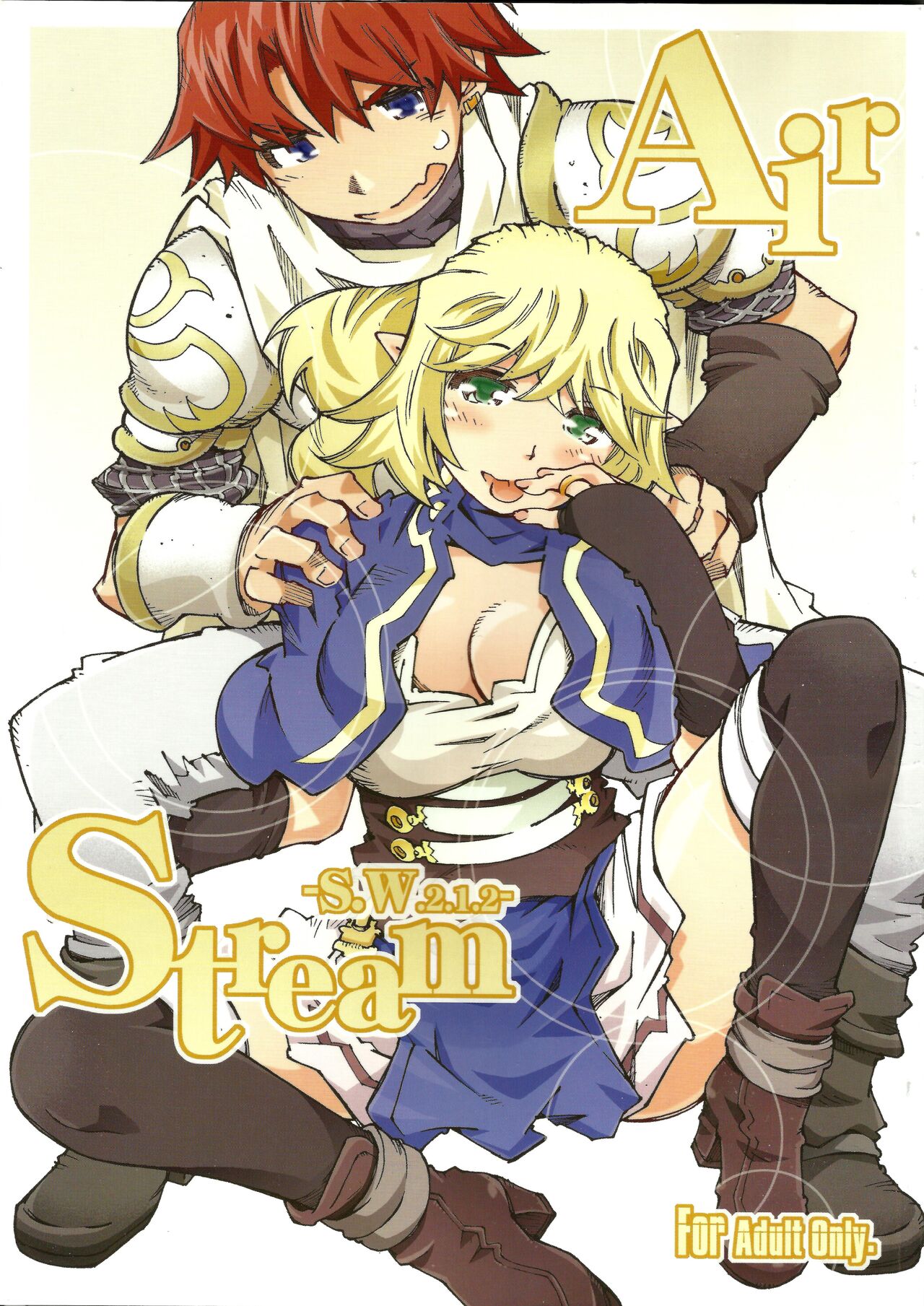 Air-Stream S.W 2.1.2 page 1 full