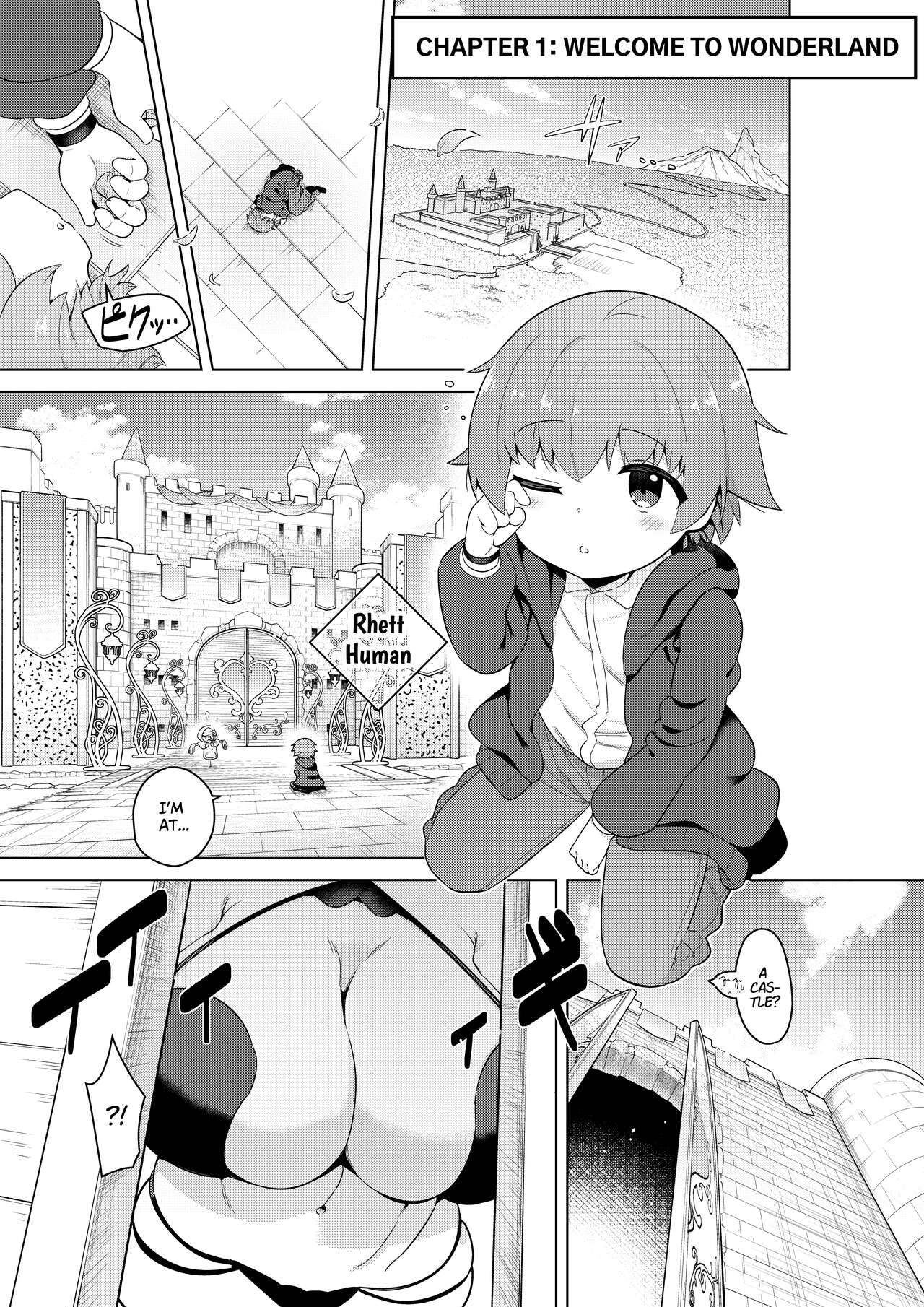 Succubus in Wonderland: Comicalize! Volume 1 page 4 full