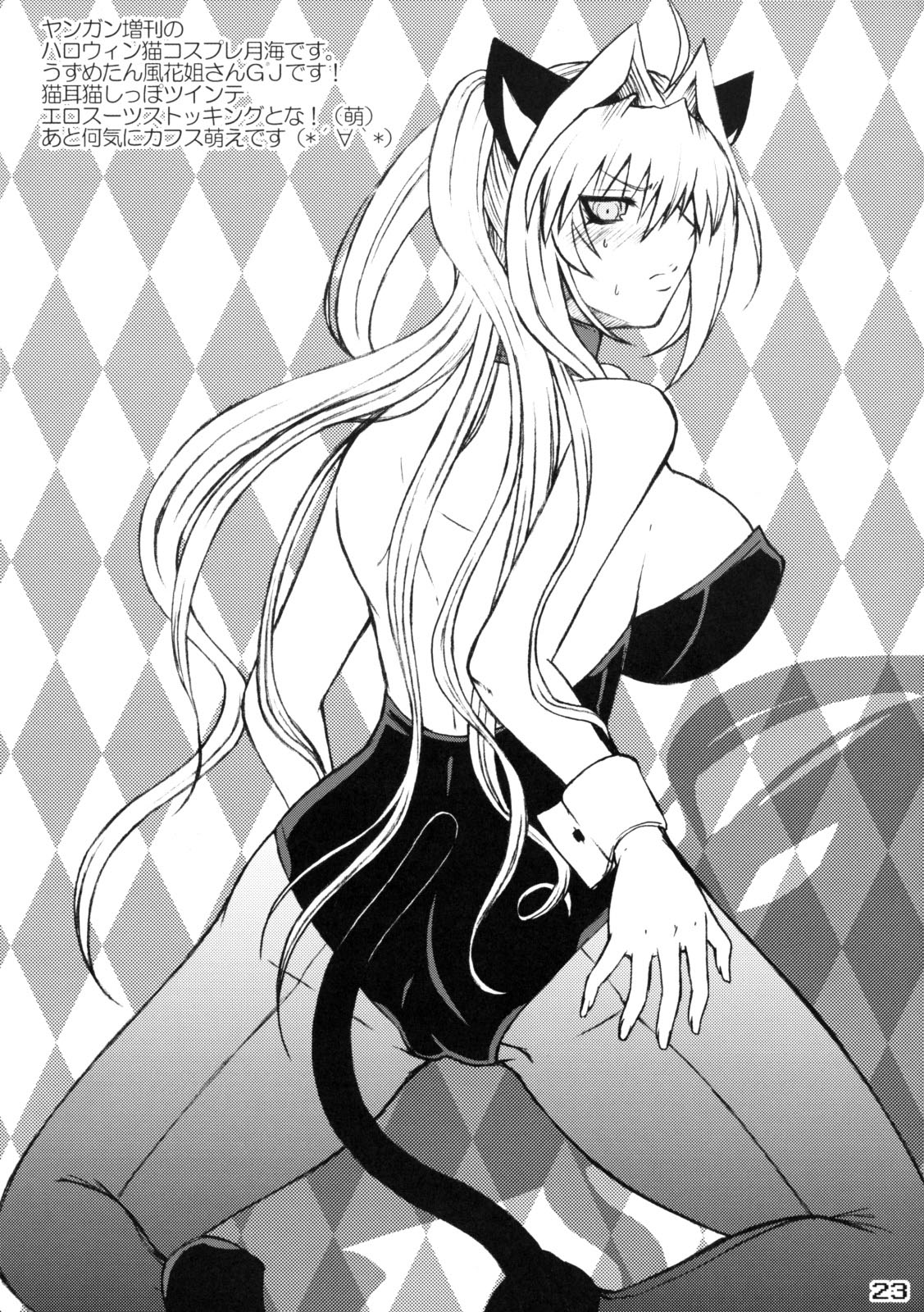 Mizu no Sekirei -Honey Bump Sekirei Tsukiumi Soushuuhen- page 4 full