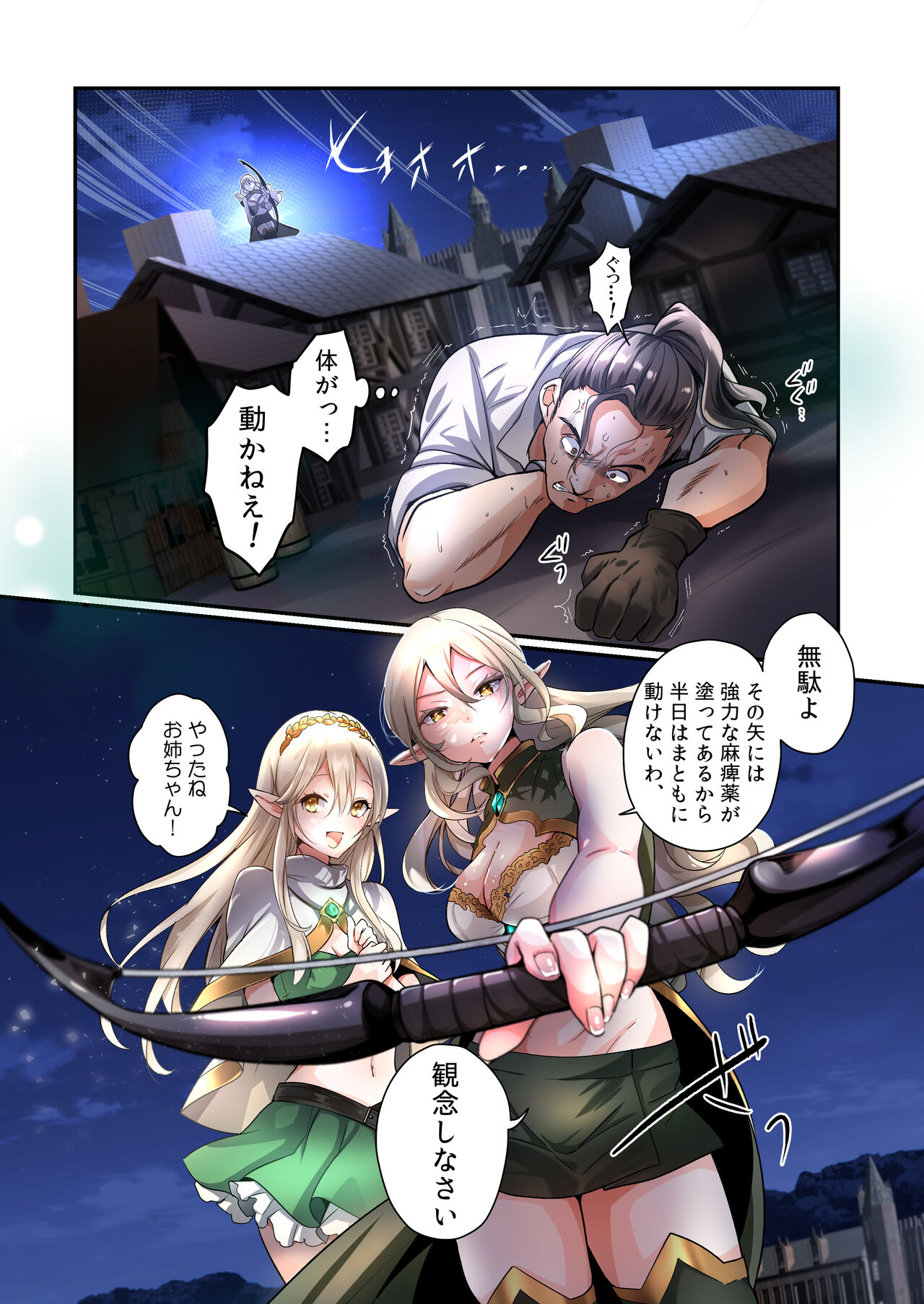 盗賊、エルフを盗む page 3 full