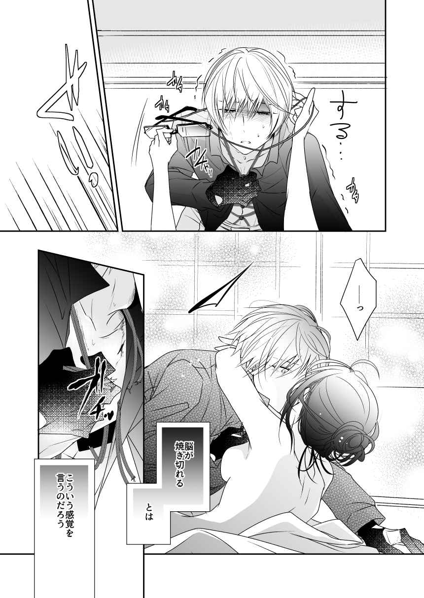 'Kikkou Sadamune ni Shikotama Biyaku o Motta Hon.' page 9 full