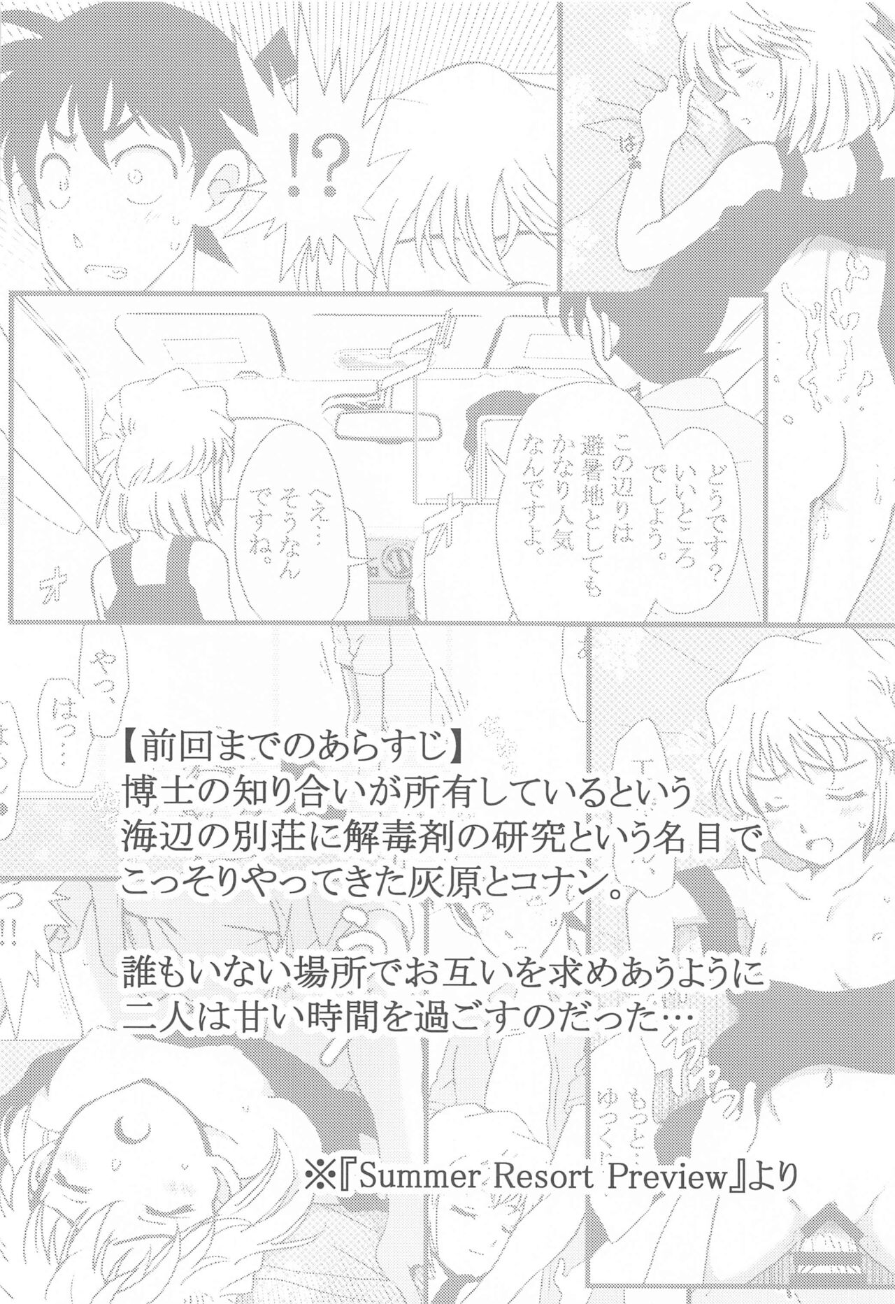 Summer Resort2 page 3 full