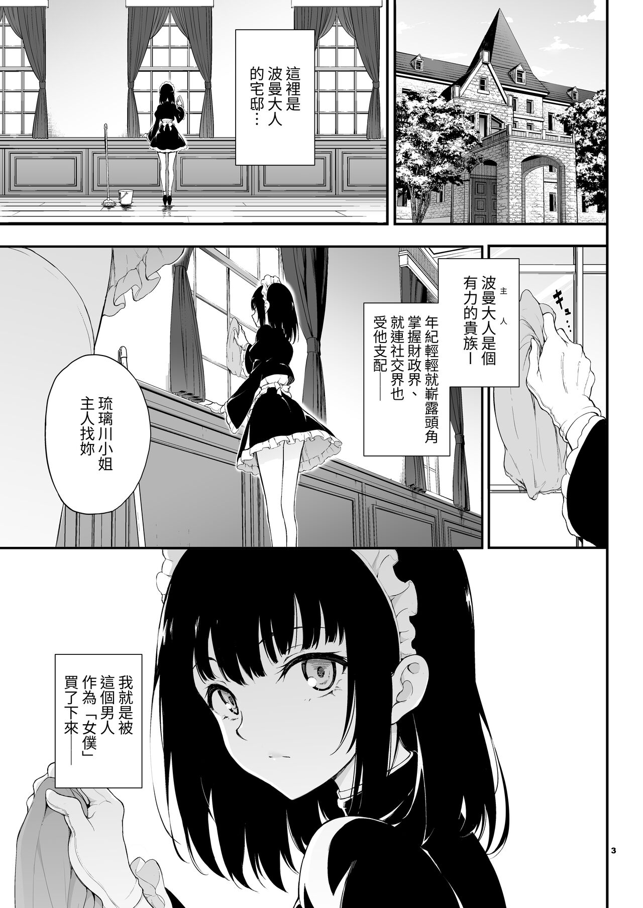 Maid Kyouiku. 1 -Botsuraku Kizoku Rurikawa Tsubaki- page 2 full
