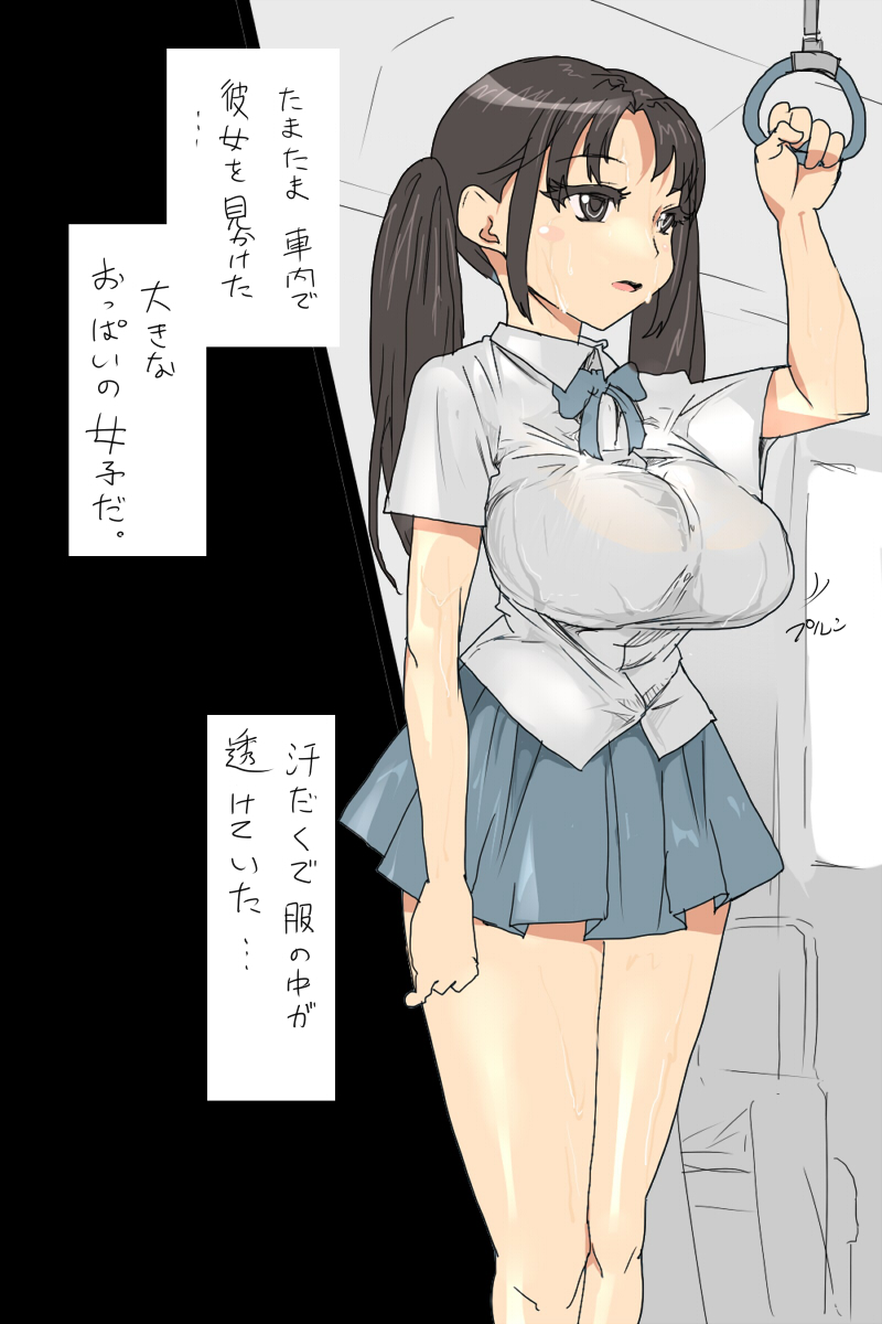 Sの事情 : 巨乳なJKと車内で遭遇するお話 page 3 full