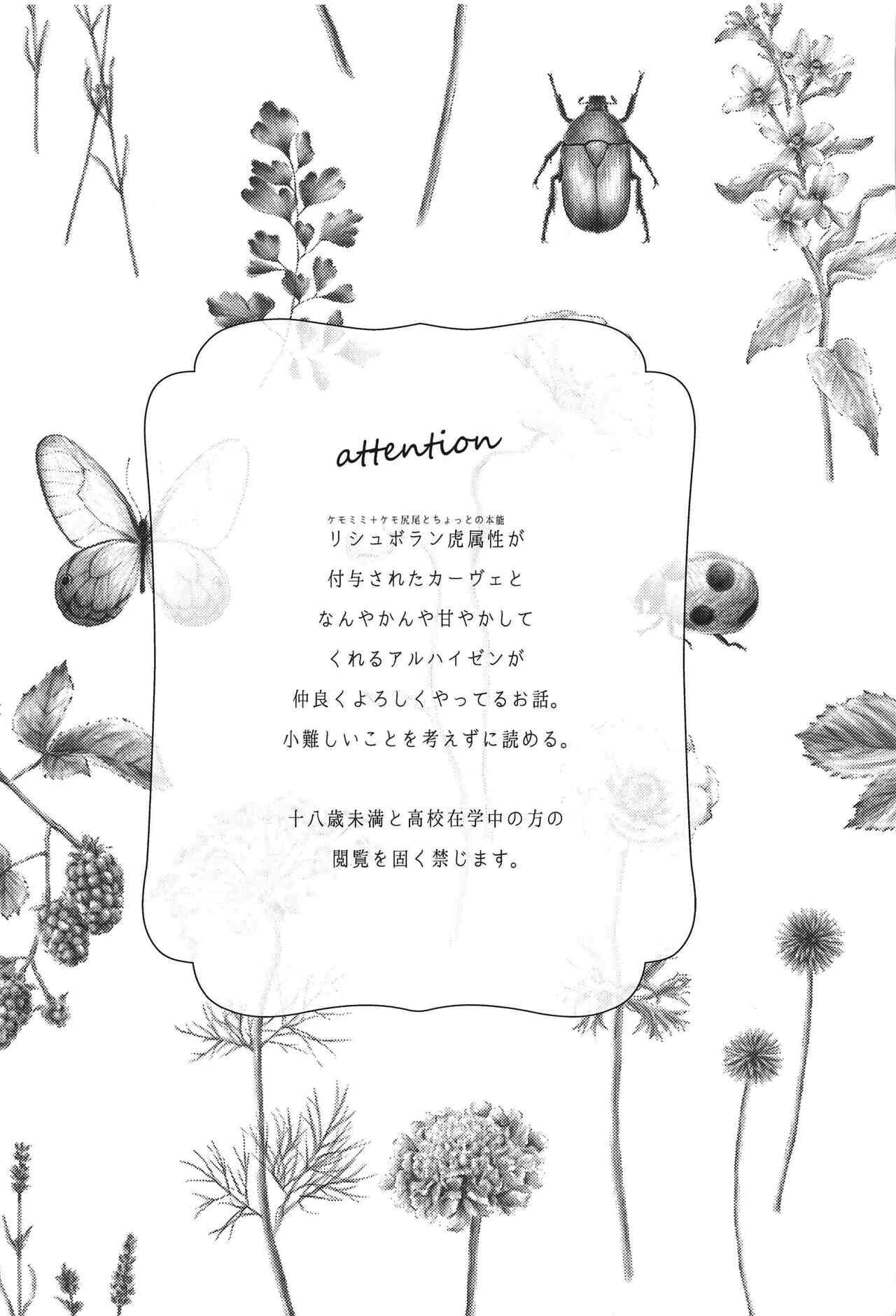 Doku o Kurawaba Sara made. page 2 full