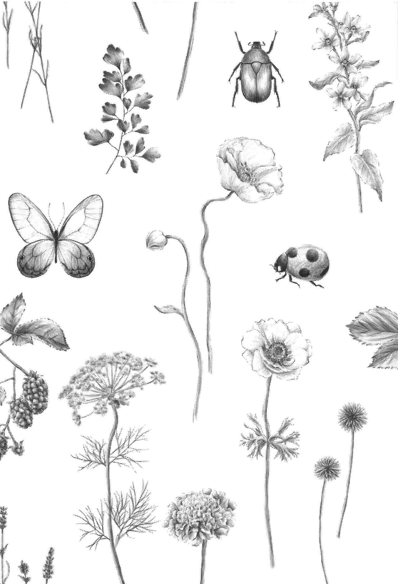 Doku o Kurawaba Sara made. page 3 full