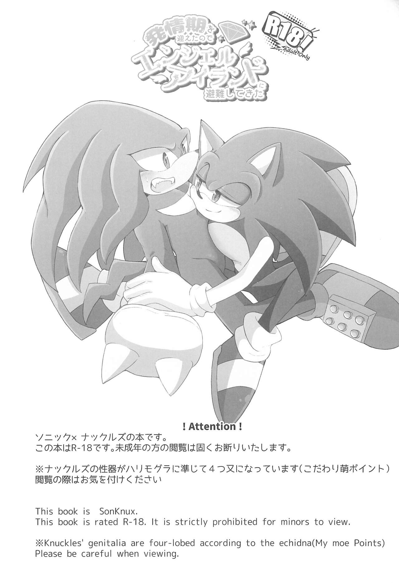 Hatsujouki o Mukaeta no de Angel Island ni Hinan shitekita page 3 full