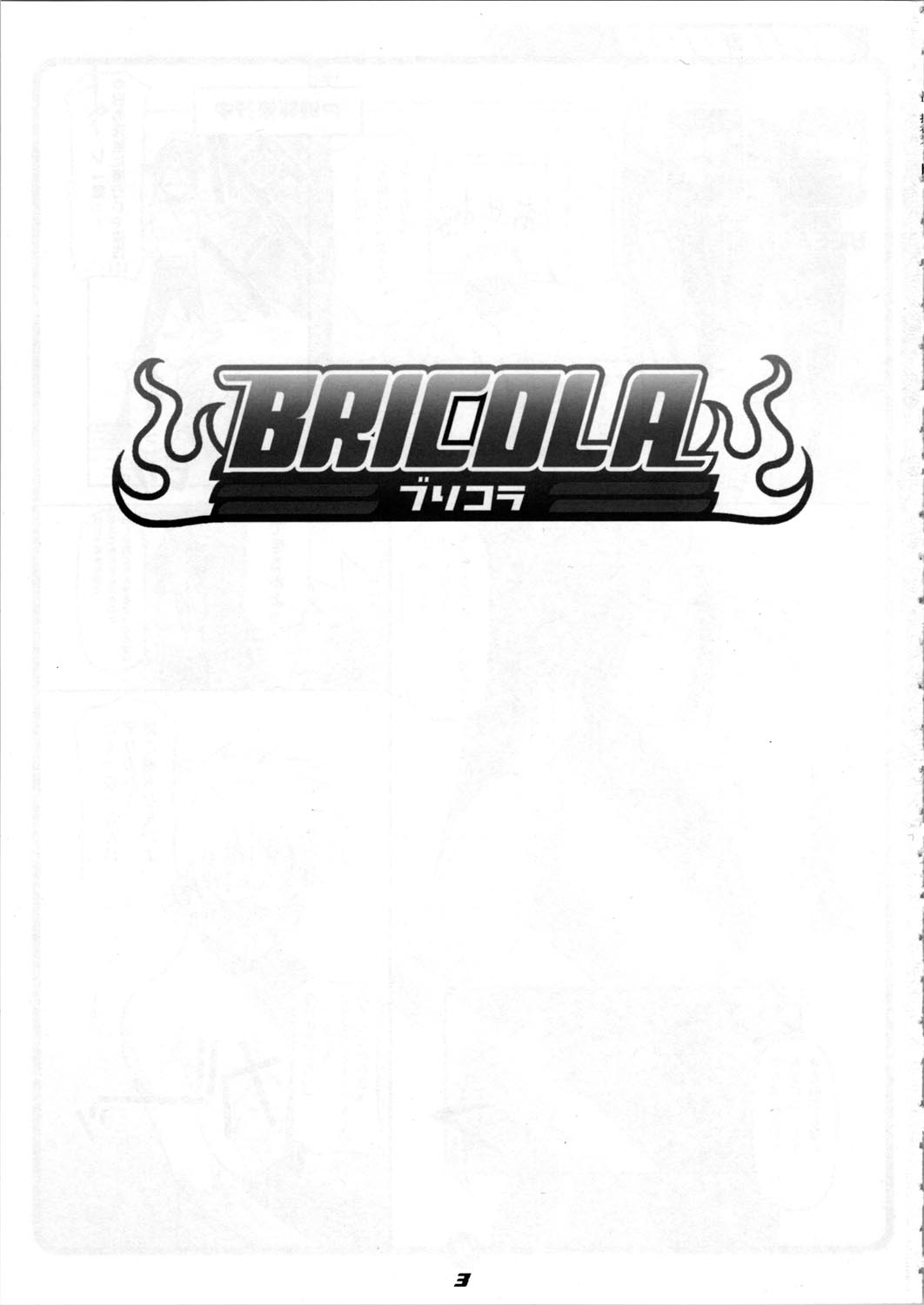 BRICOLA page 3 full
