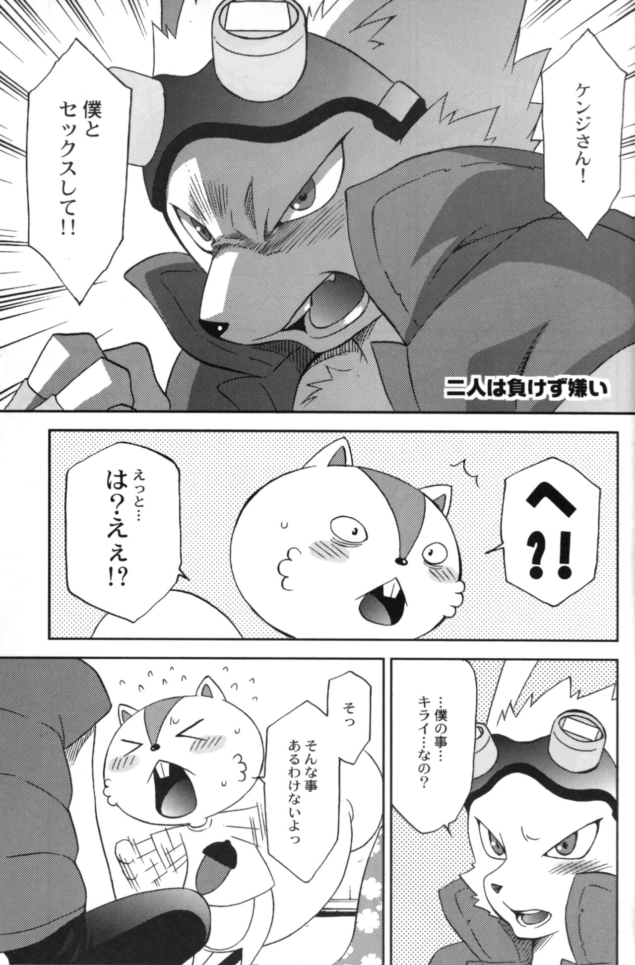 UsaLove 2011 page 5 full